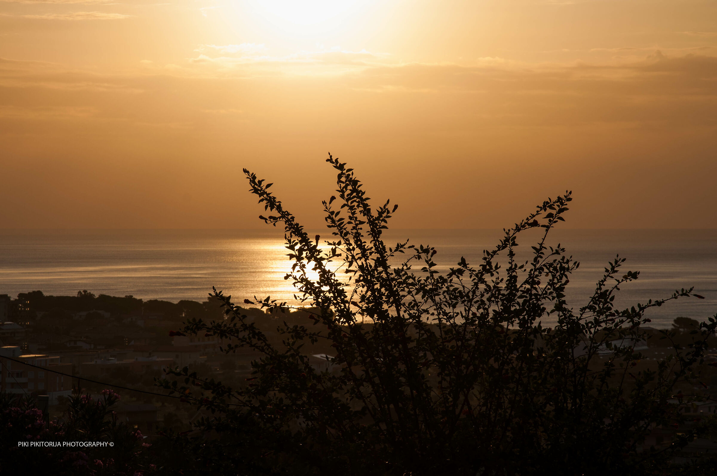 La tranquillità della mattina