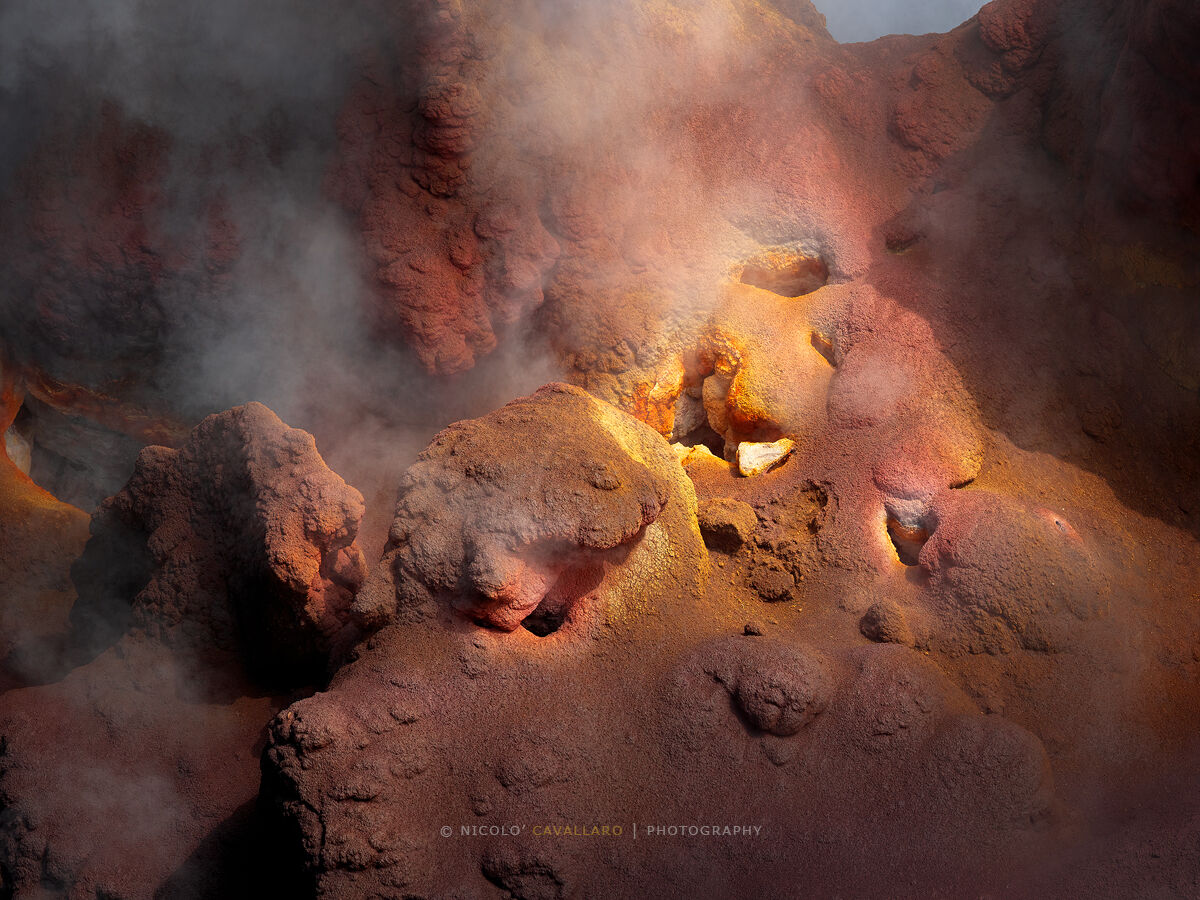 50 sfumature di rosa