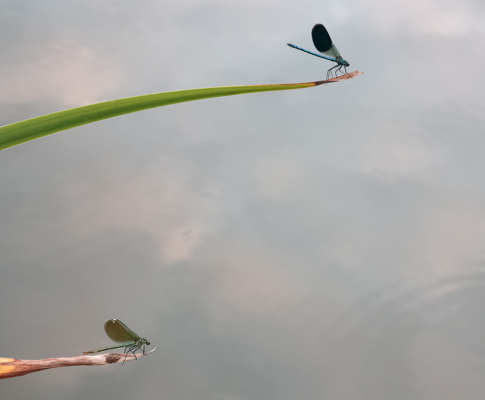 Ai blocchi di partenza