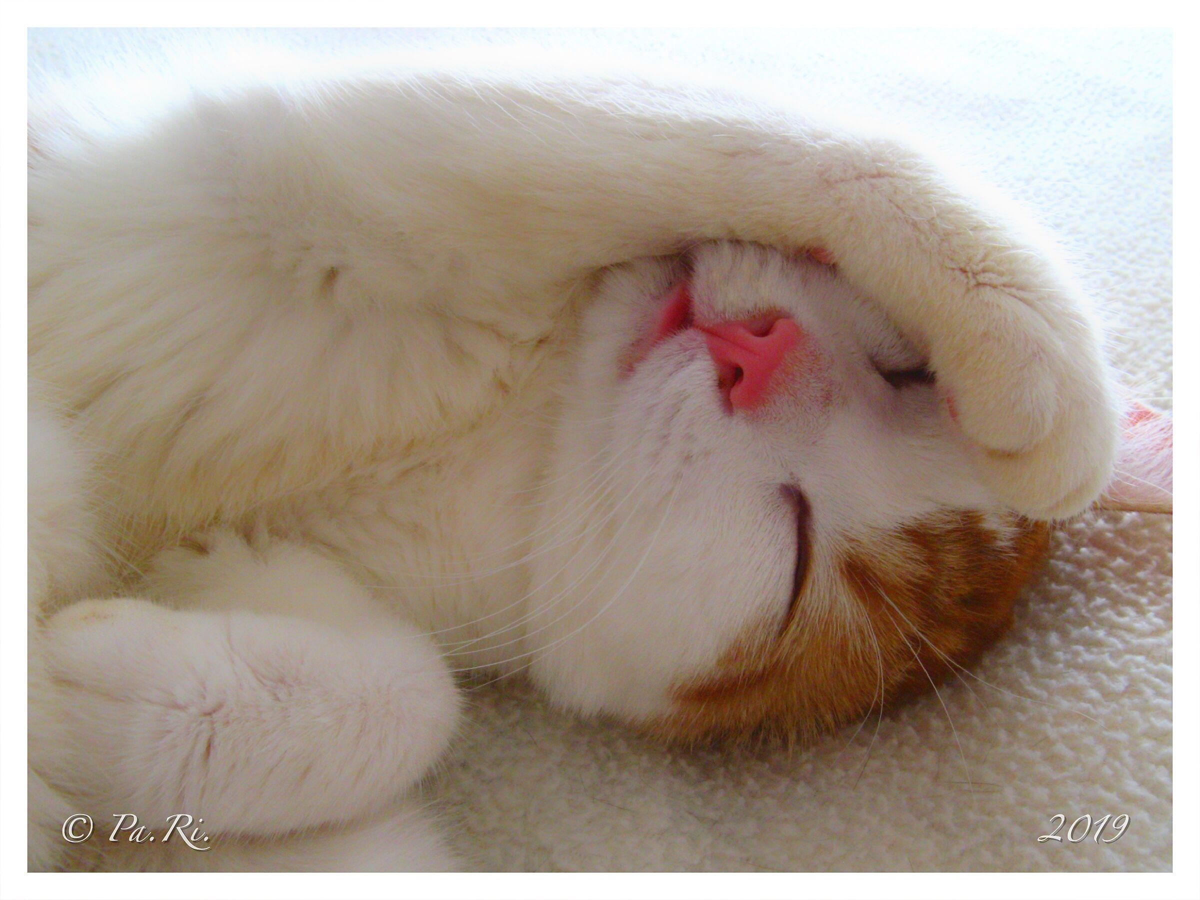 Wake me up tomorrow... Thank you.