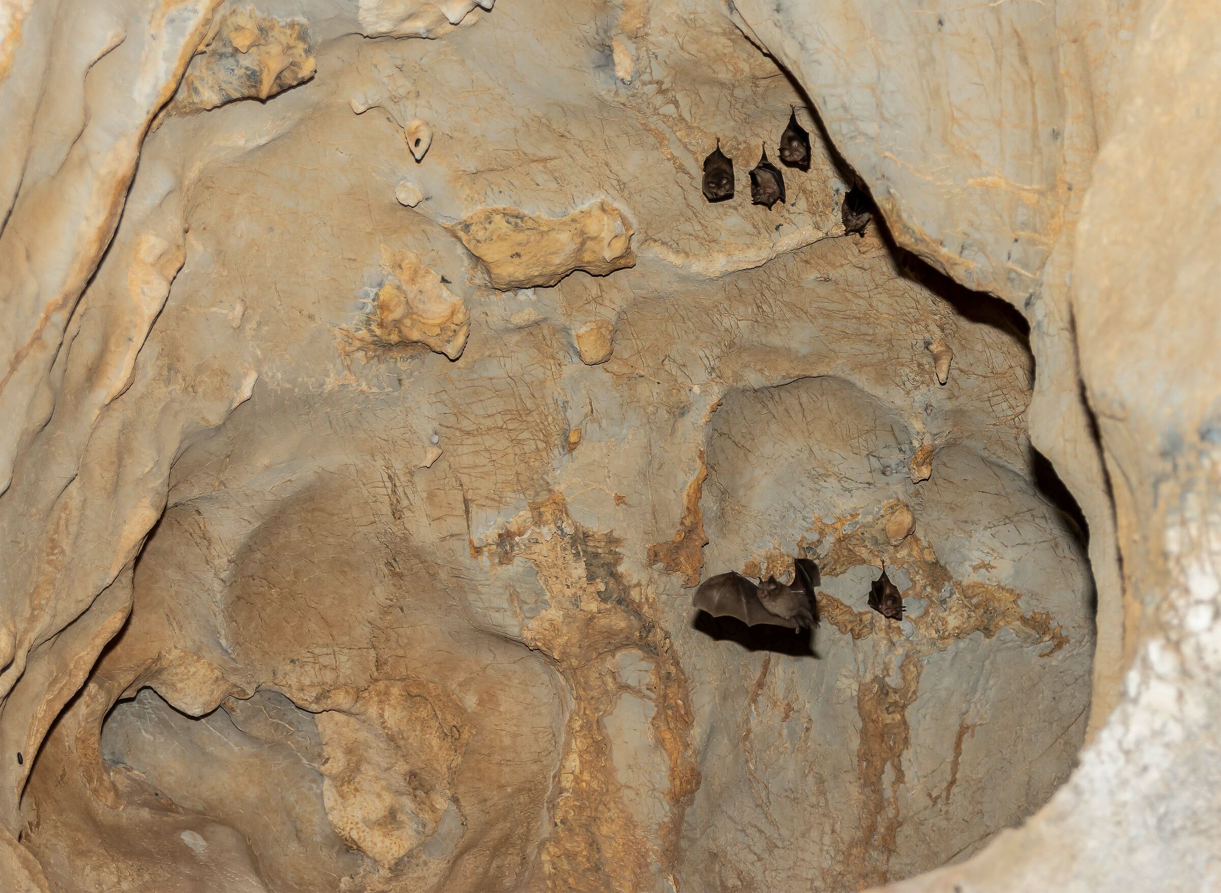 In the Dragon Cave