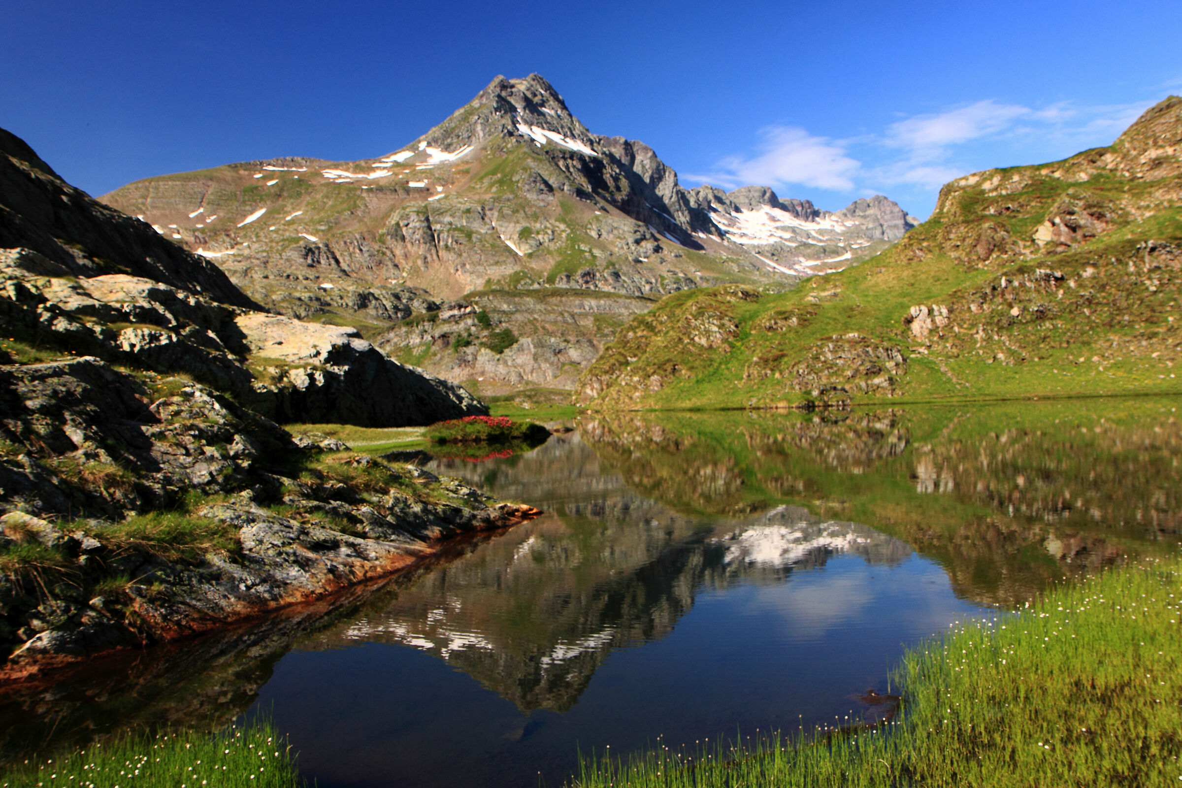 il verde del laghetto Valrossa