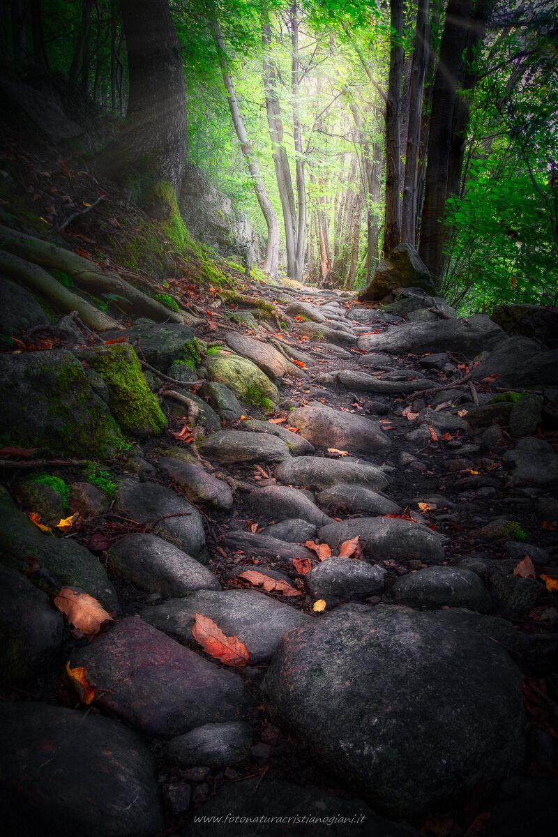 Maybe we'll meet again...