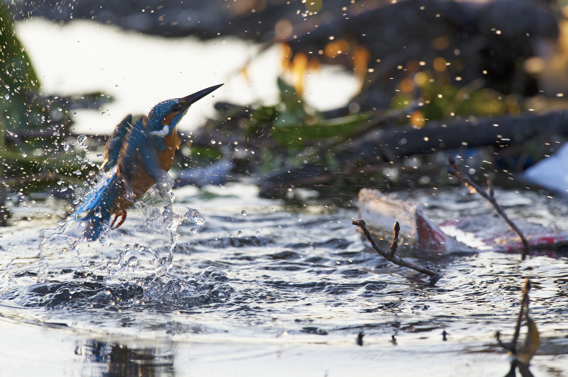 Failure to capture * 2