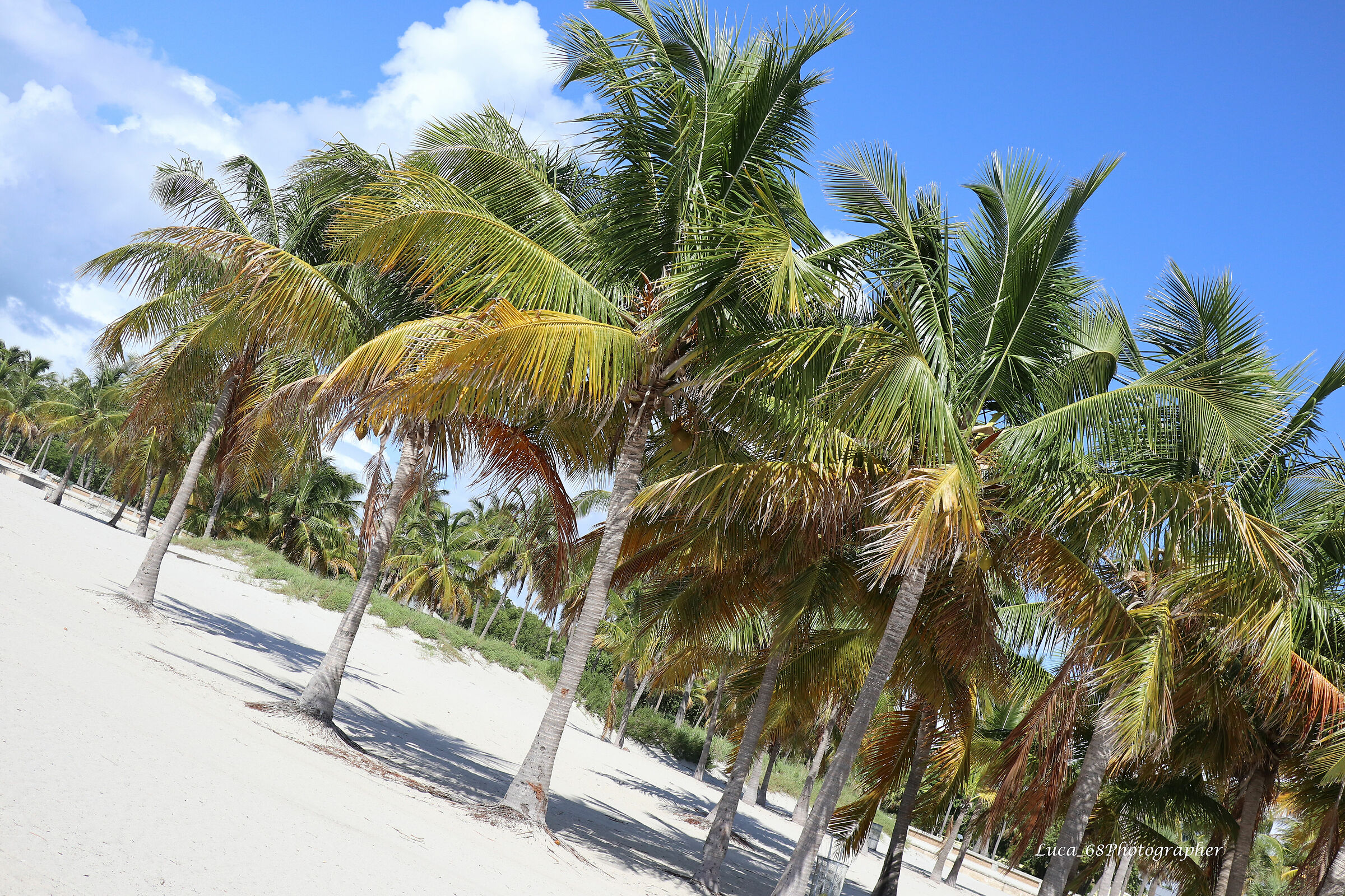 Miami