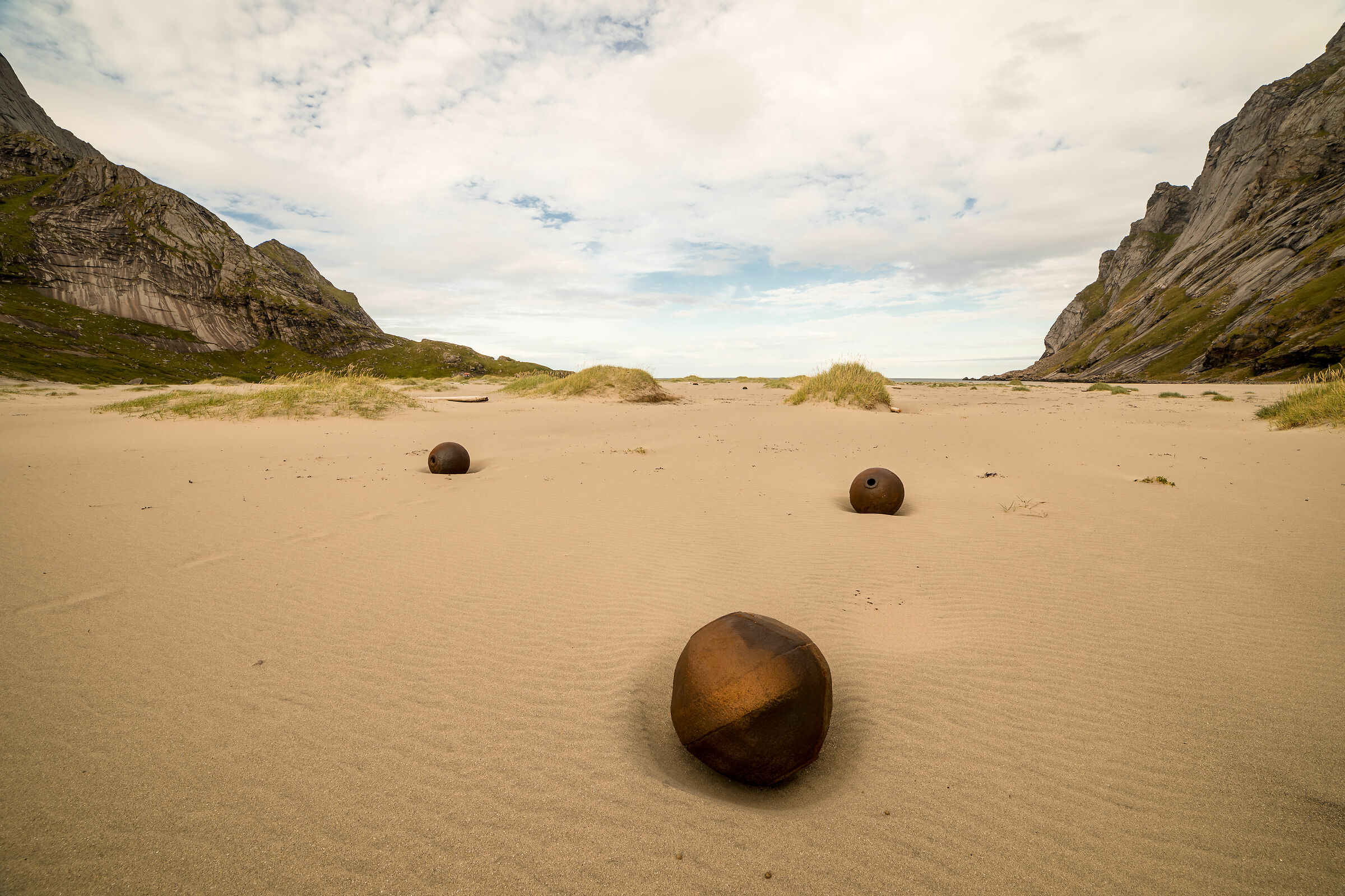 Eggs of an Alien Species