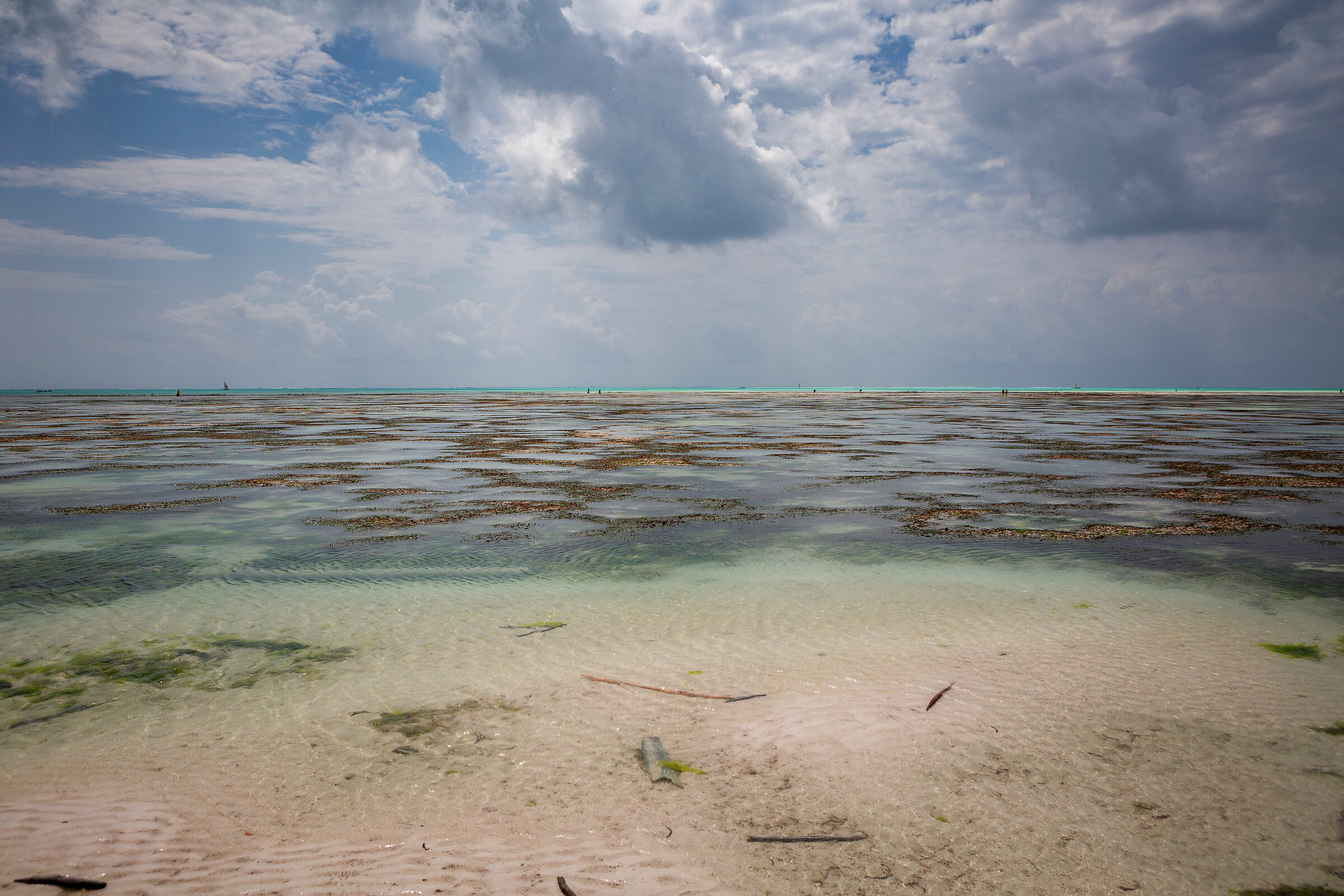 The nuances of the tide... Jambiani, Zanzibar