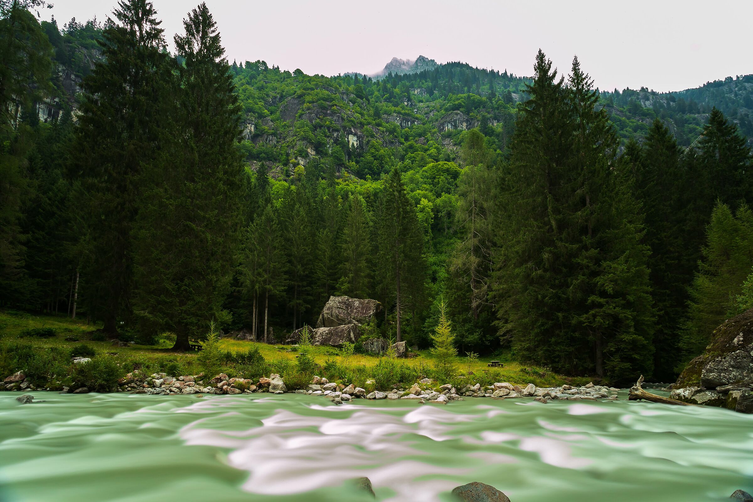 Un brontolio rilassante