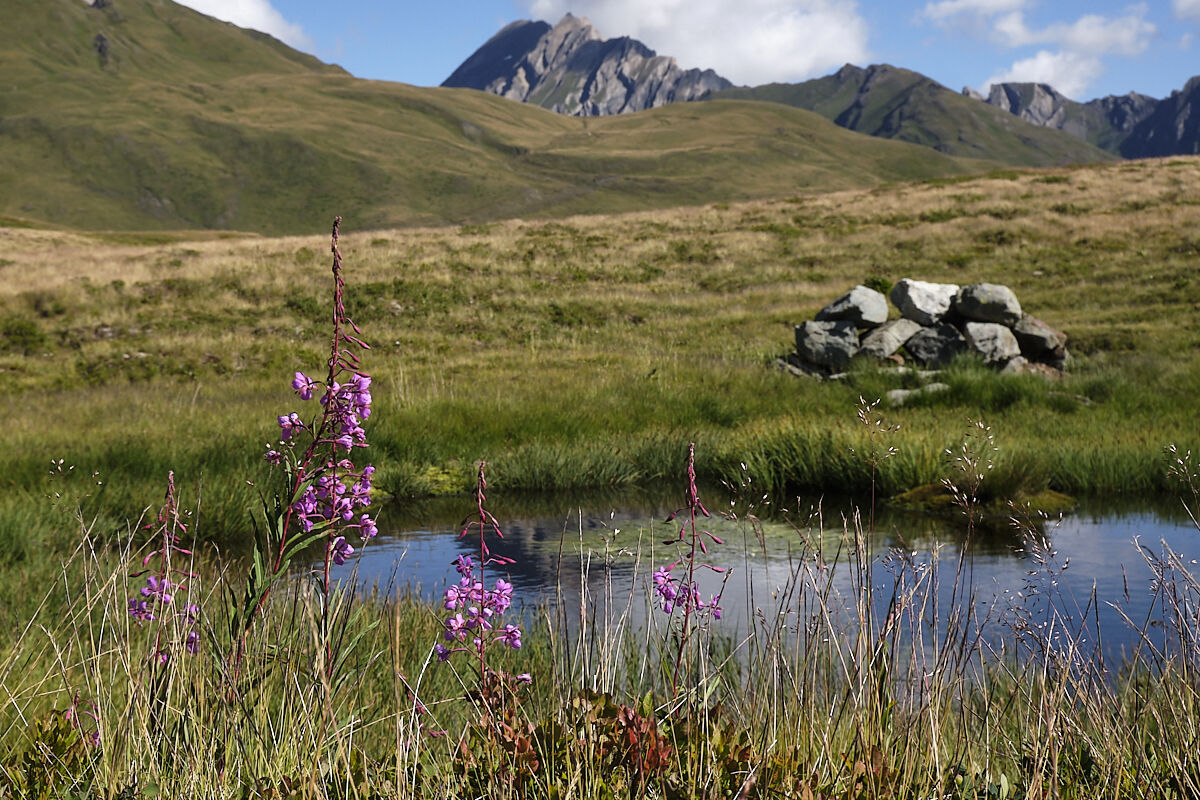 Pond on the Pass (P.S.Bernardo)