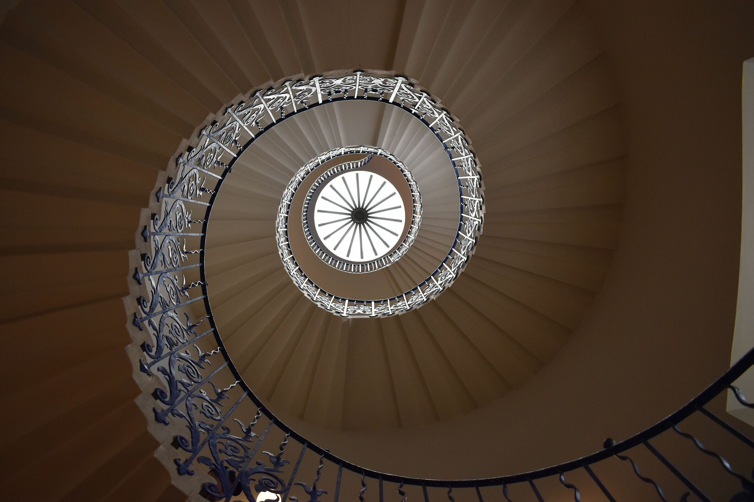 Illusioni dalla vecchia signora