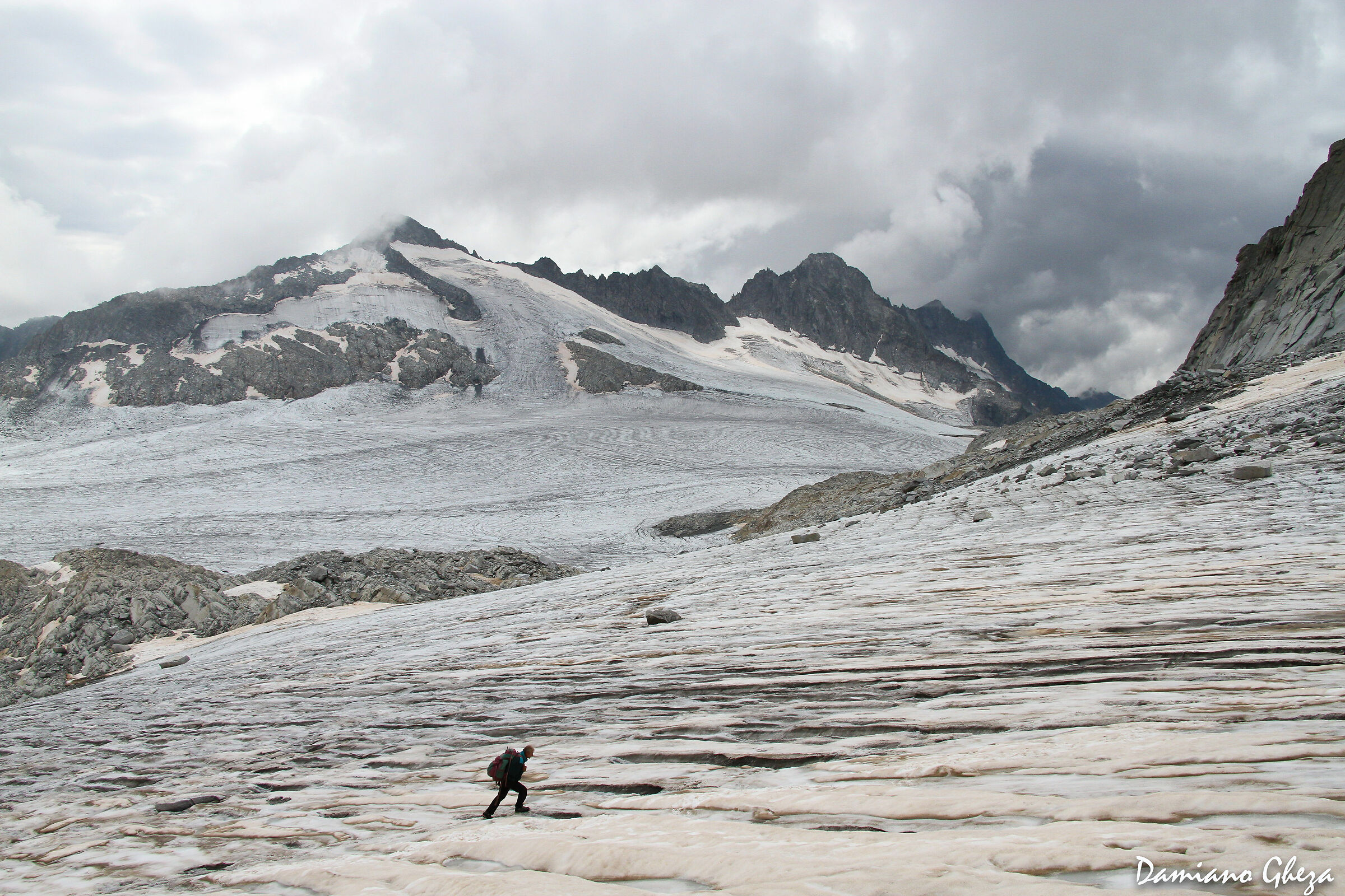 Siamo proprio delle formichine