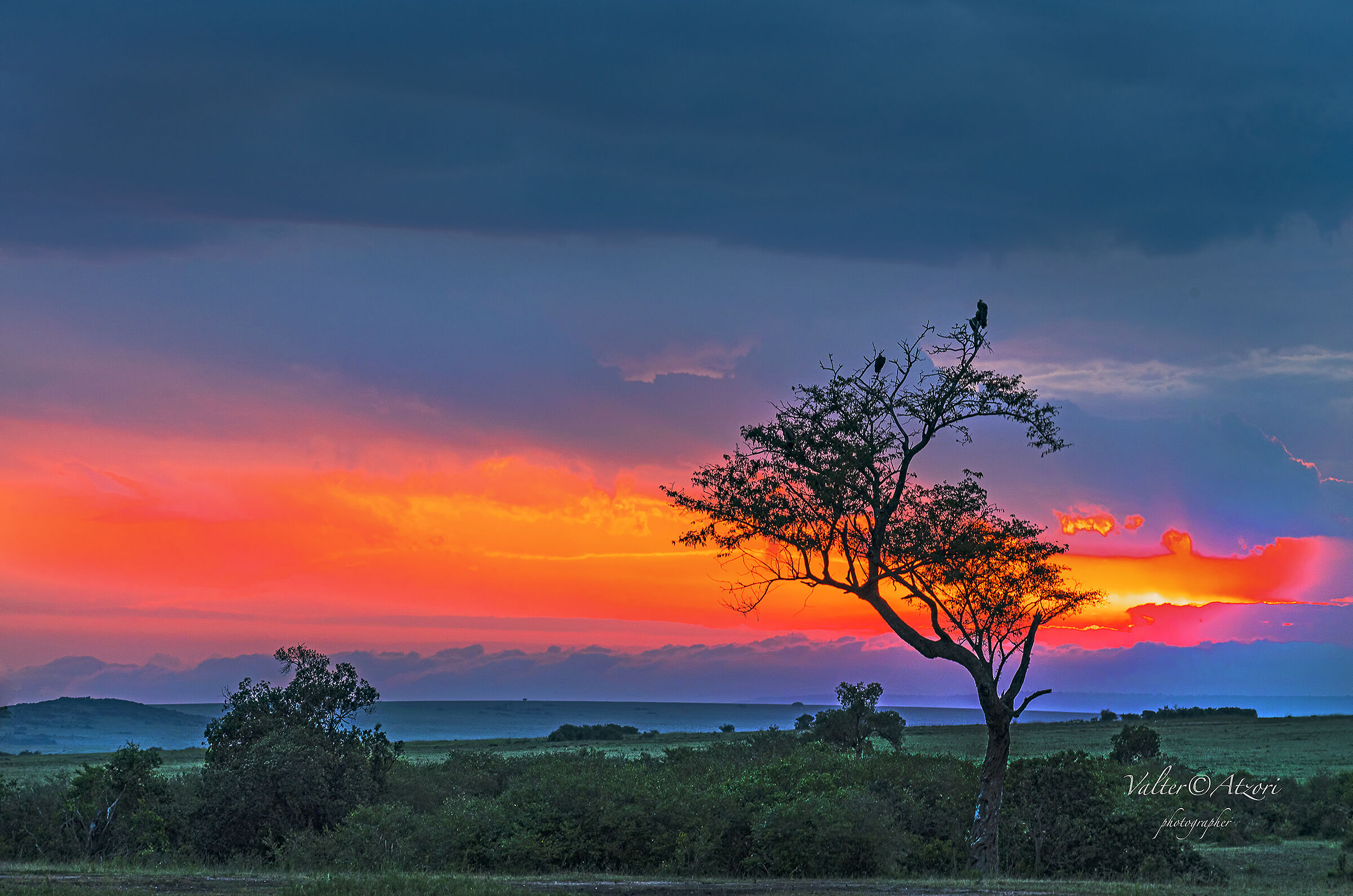 Sunset in Maasai Mara