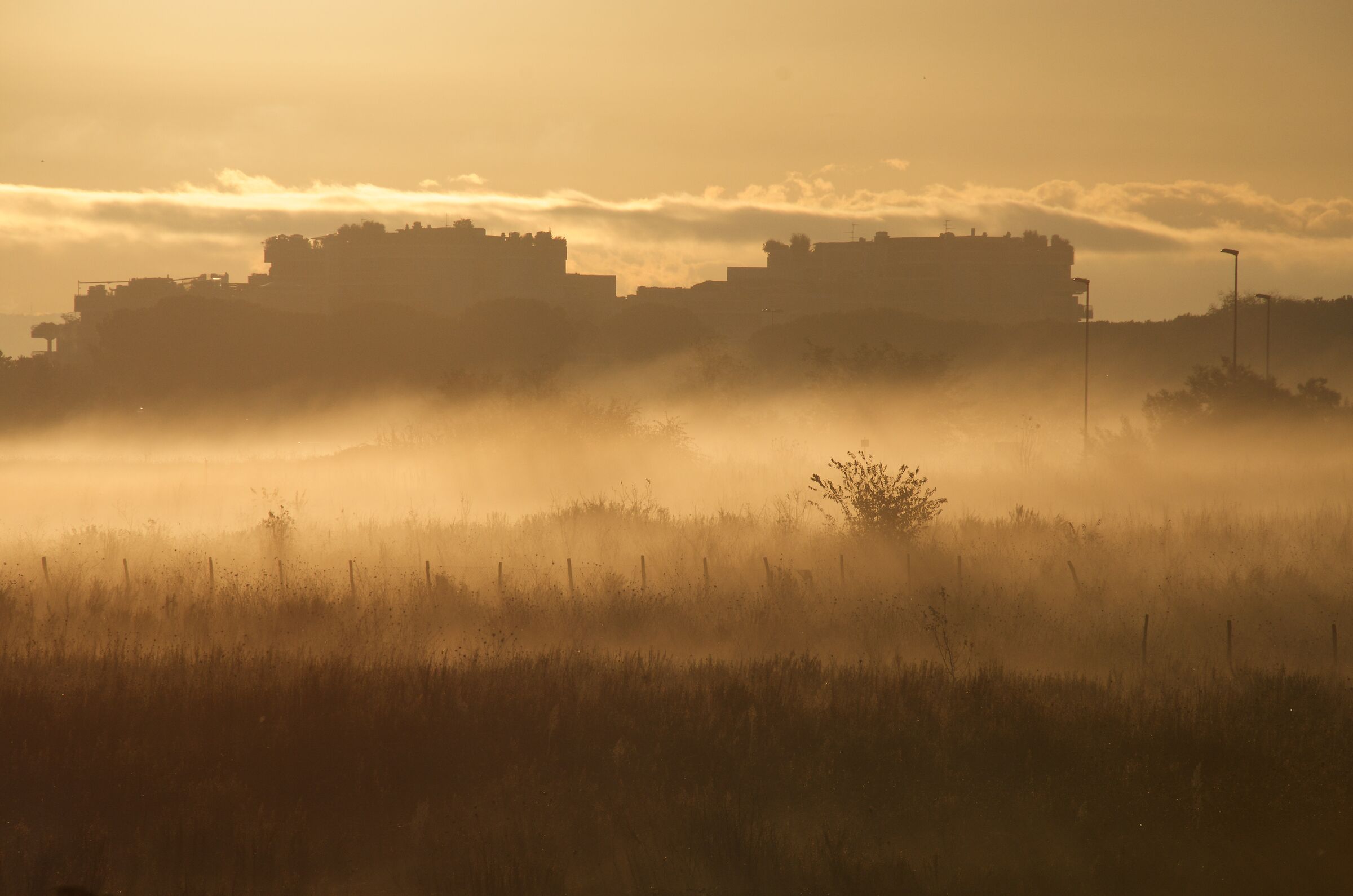 Fog of periphery (North Rome)