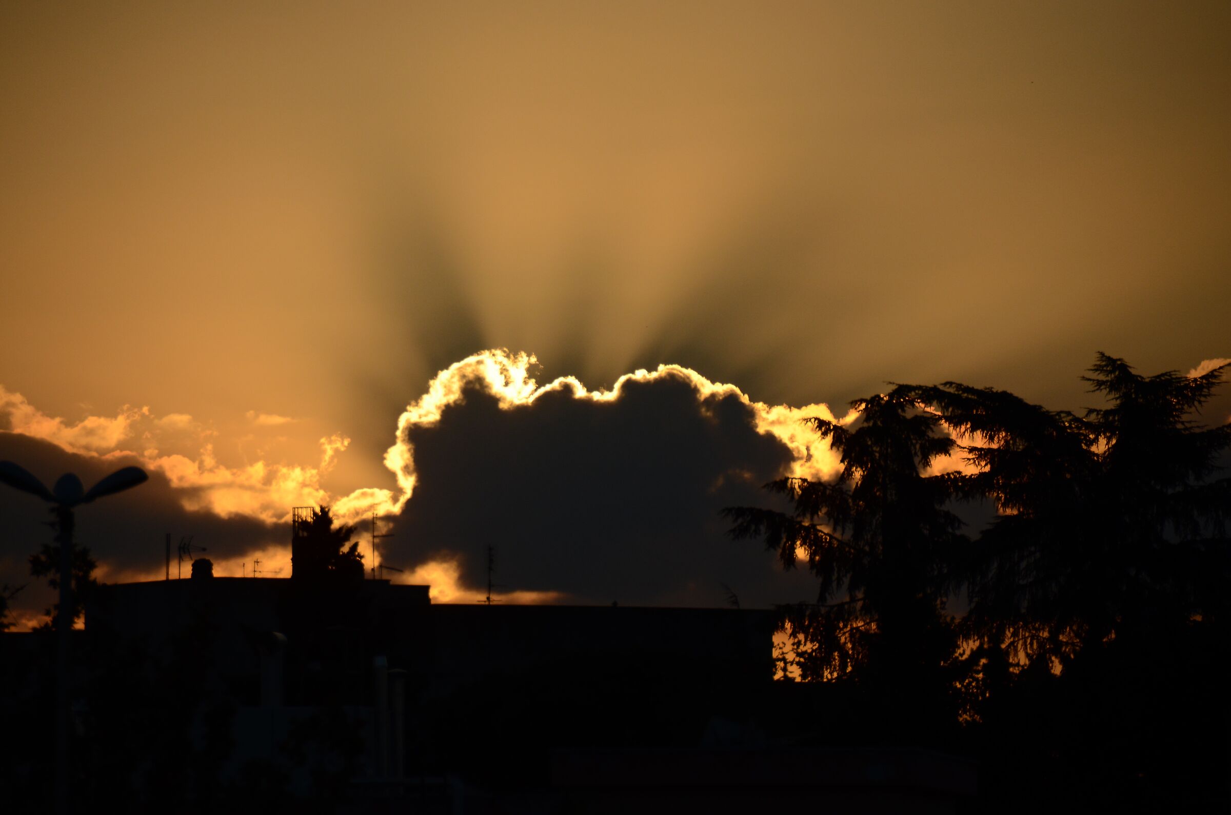 Golden sunset