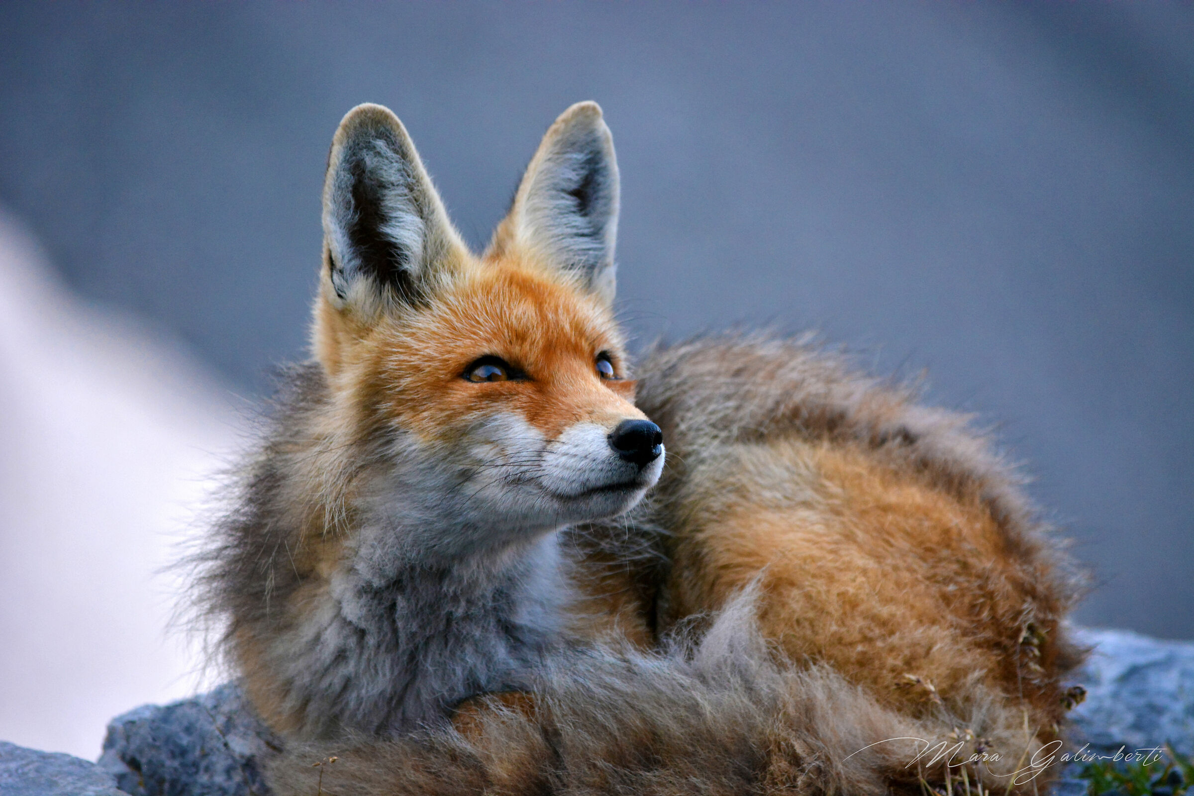 Incontri inaspettati