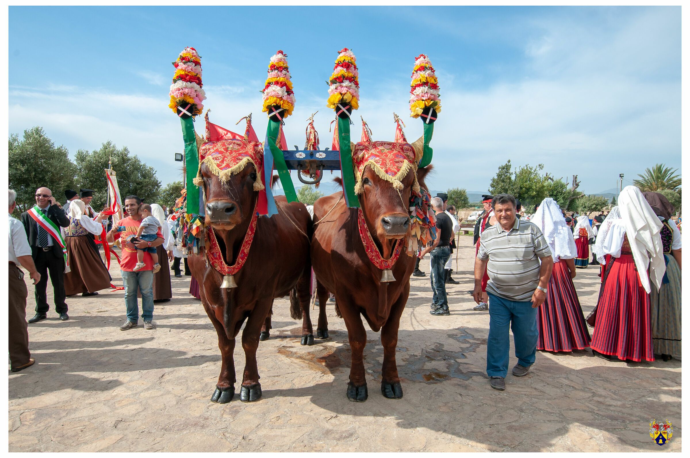 Giogo Buoi Festa Paesana Uta (CA)
