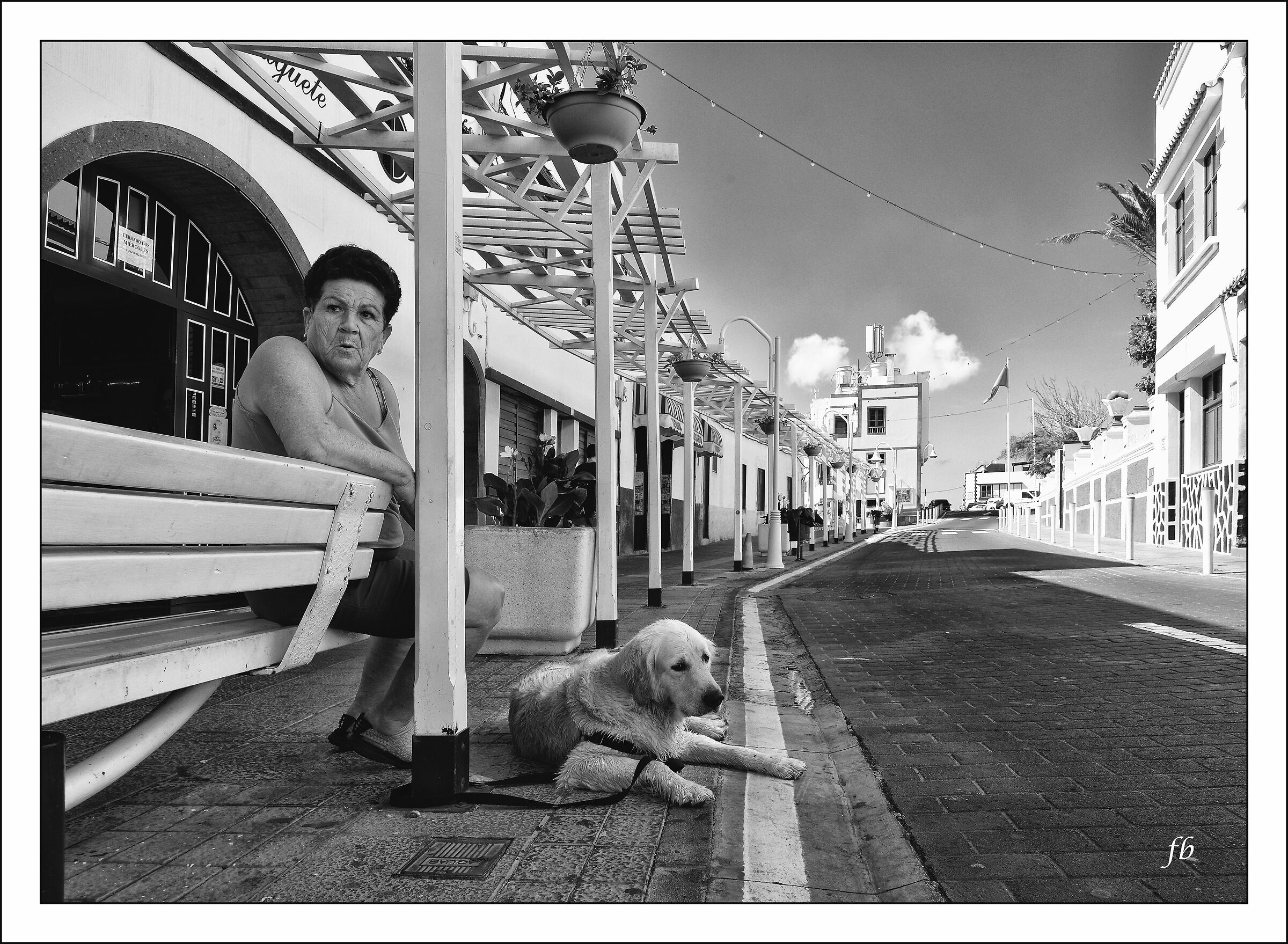 Puerto de las nieves, Tenerife