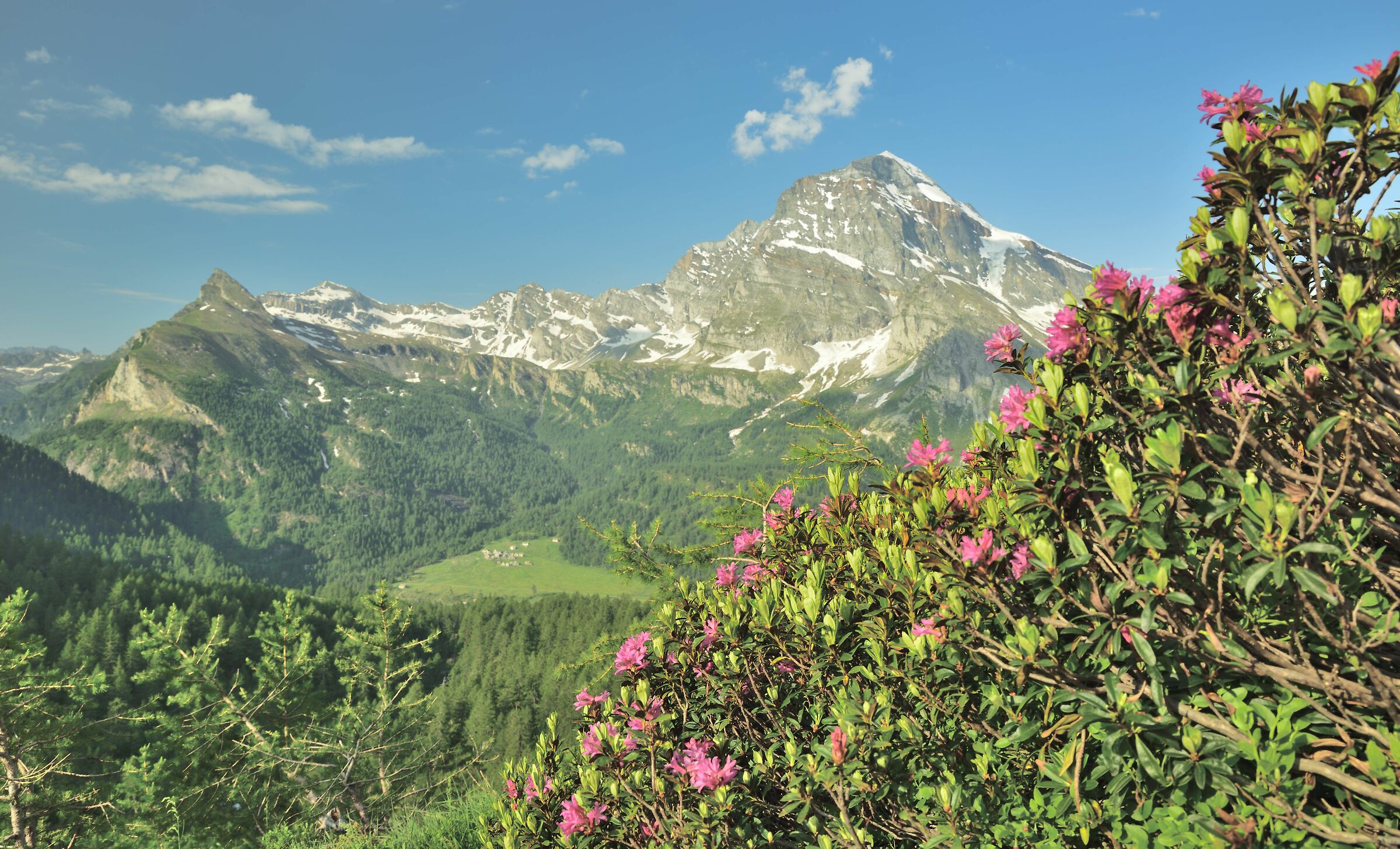 dal sentiero per il Lago Bianco il Monte Leone m 3555