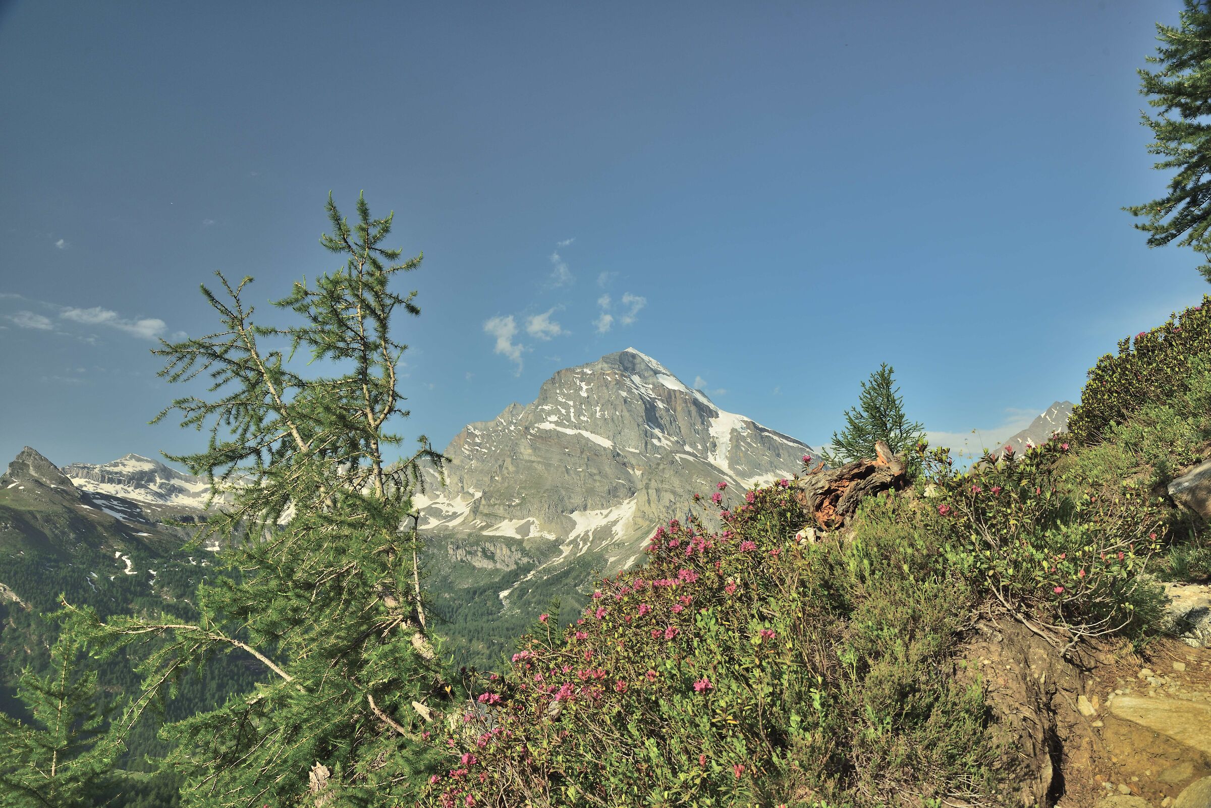 dal sentiero per il Lago Bianco il Monte Leone m 3555