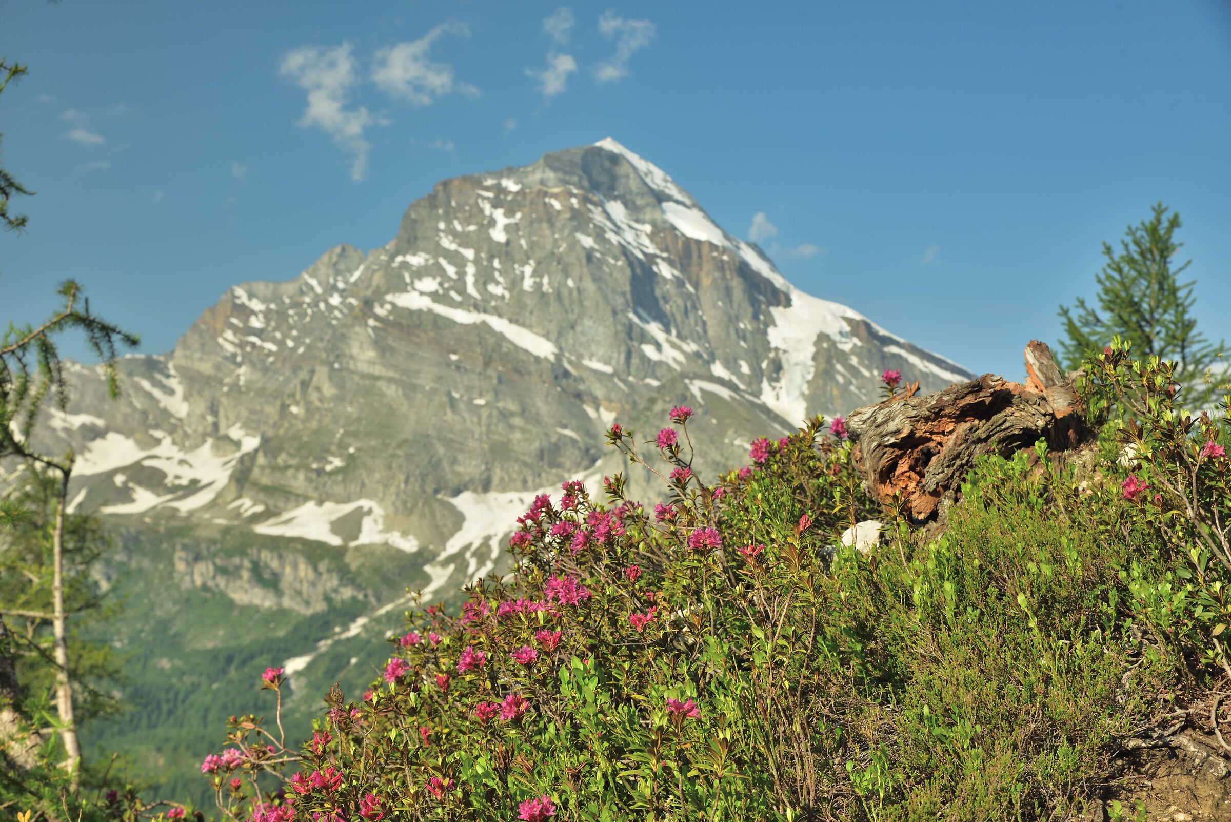 dal sentiero per il Lago Bianco il Monte Leone m 3555