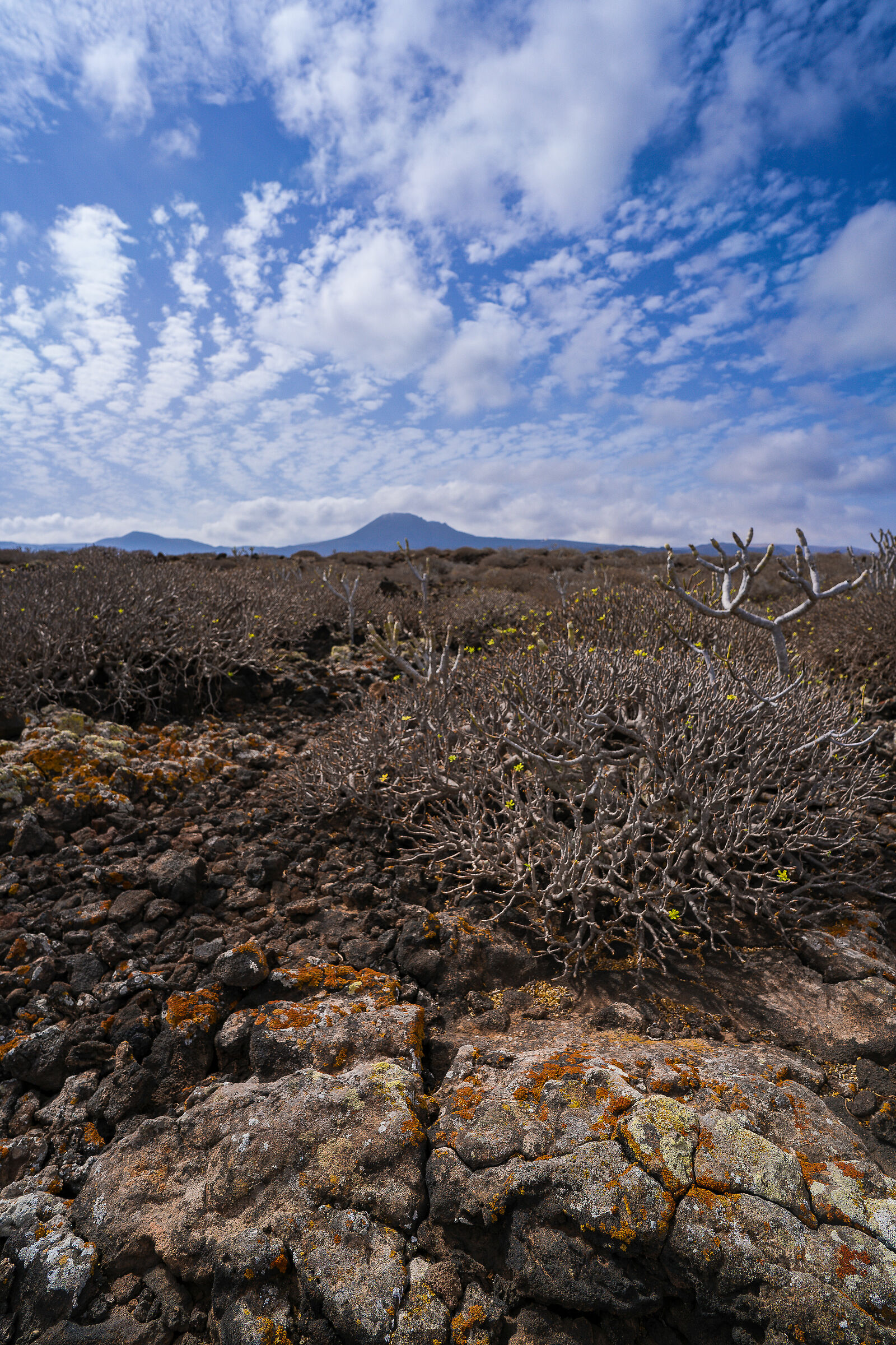 volcano de la corona