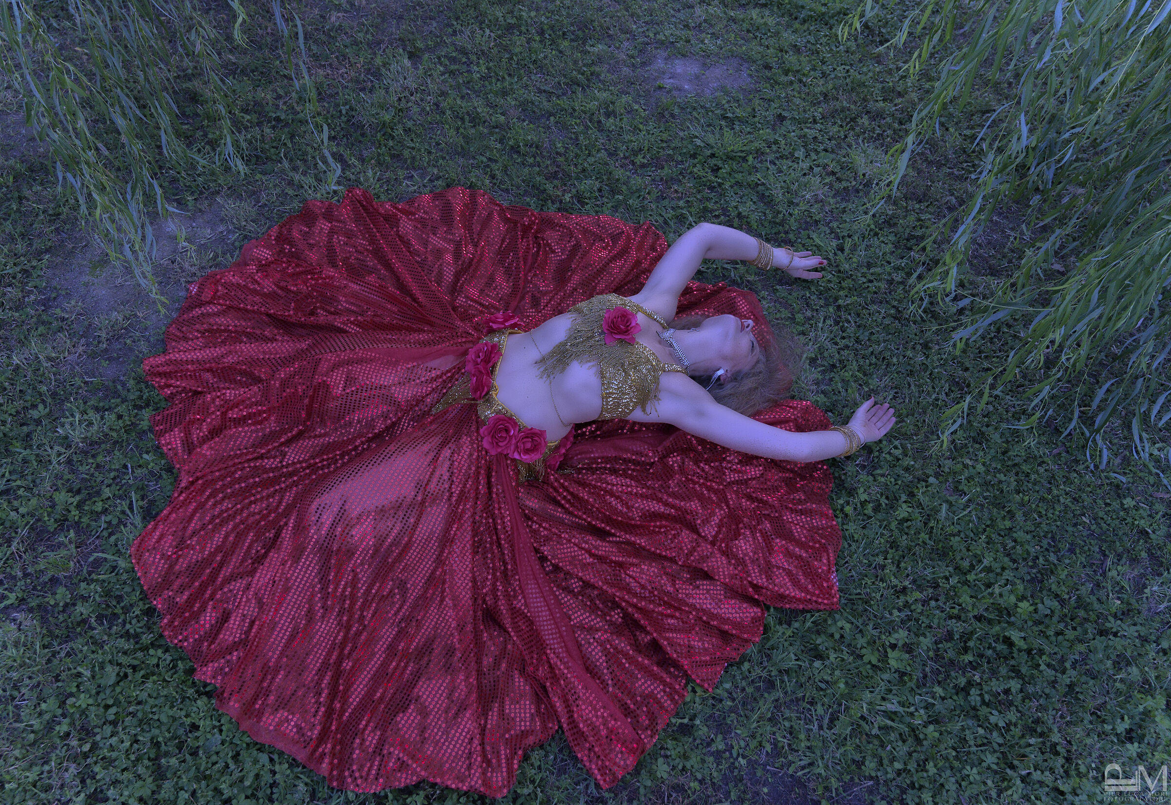 The wheel in the willows