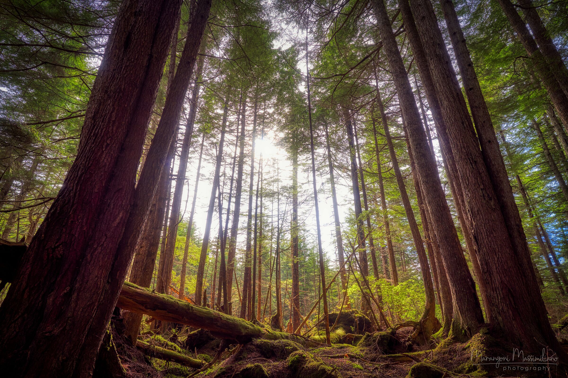 2019 Alaska Icy Streit Point