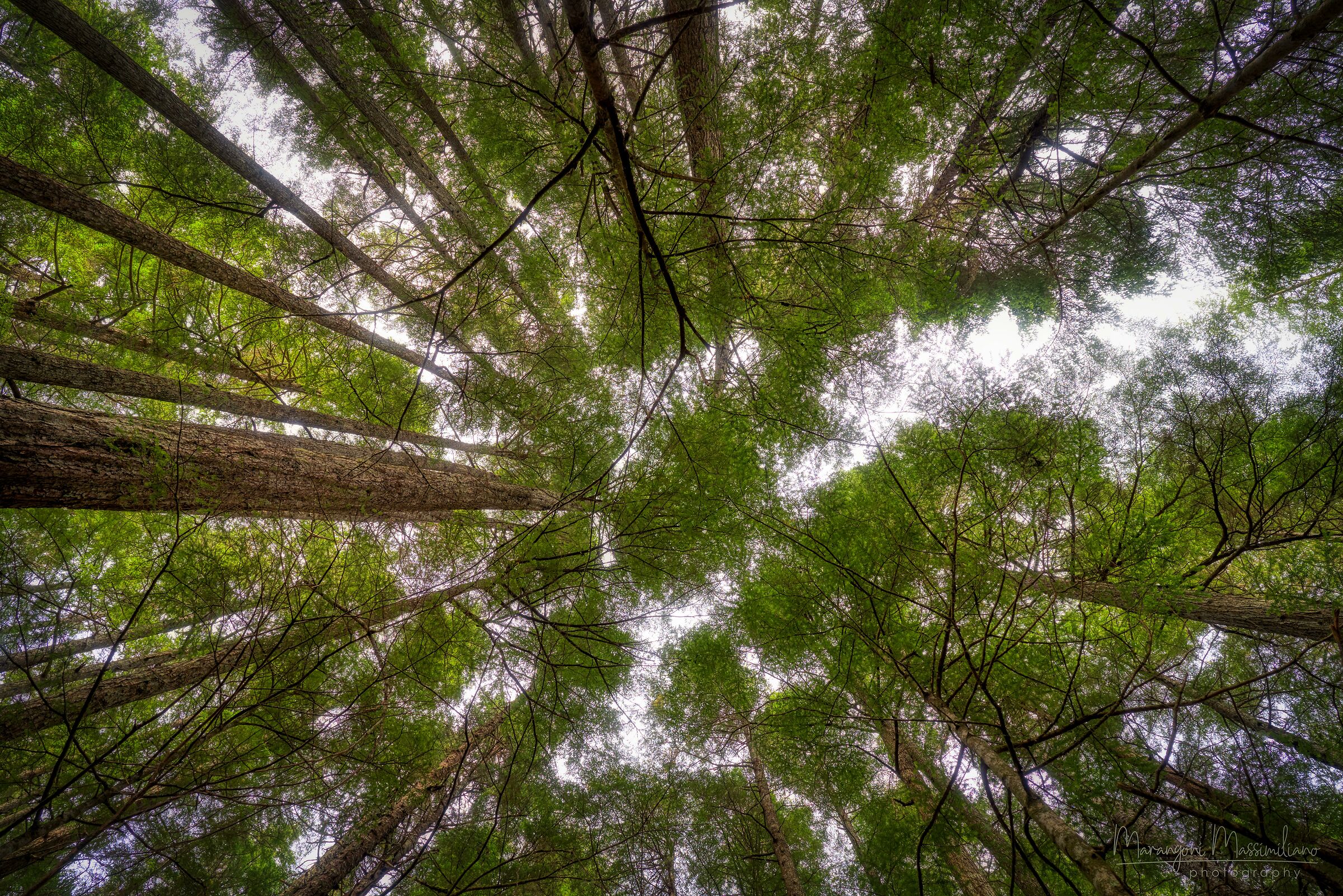 2019 Alaska Icy Streit Point