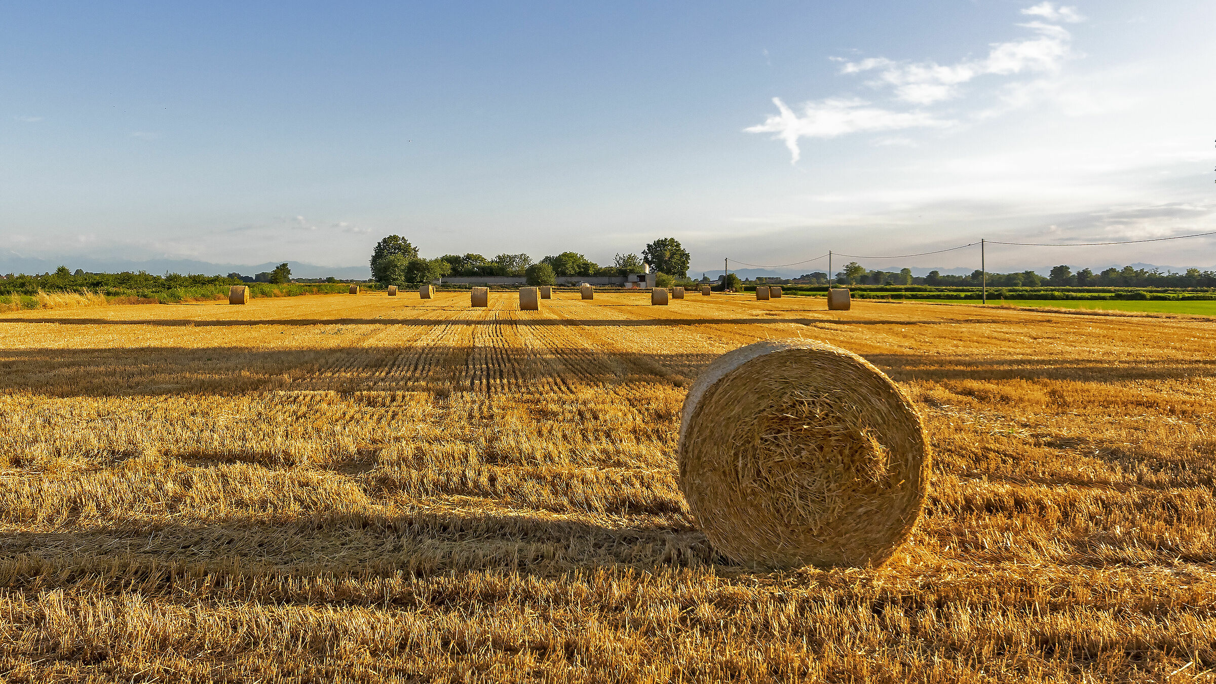 Ombre lunghe in Lomellina