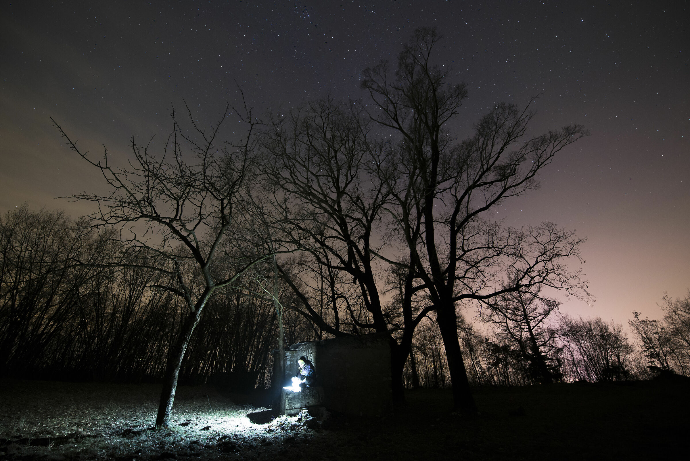 Out at night