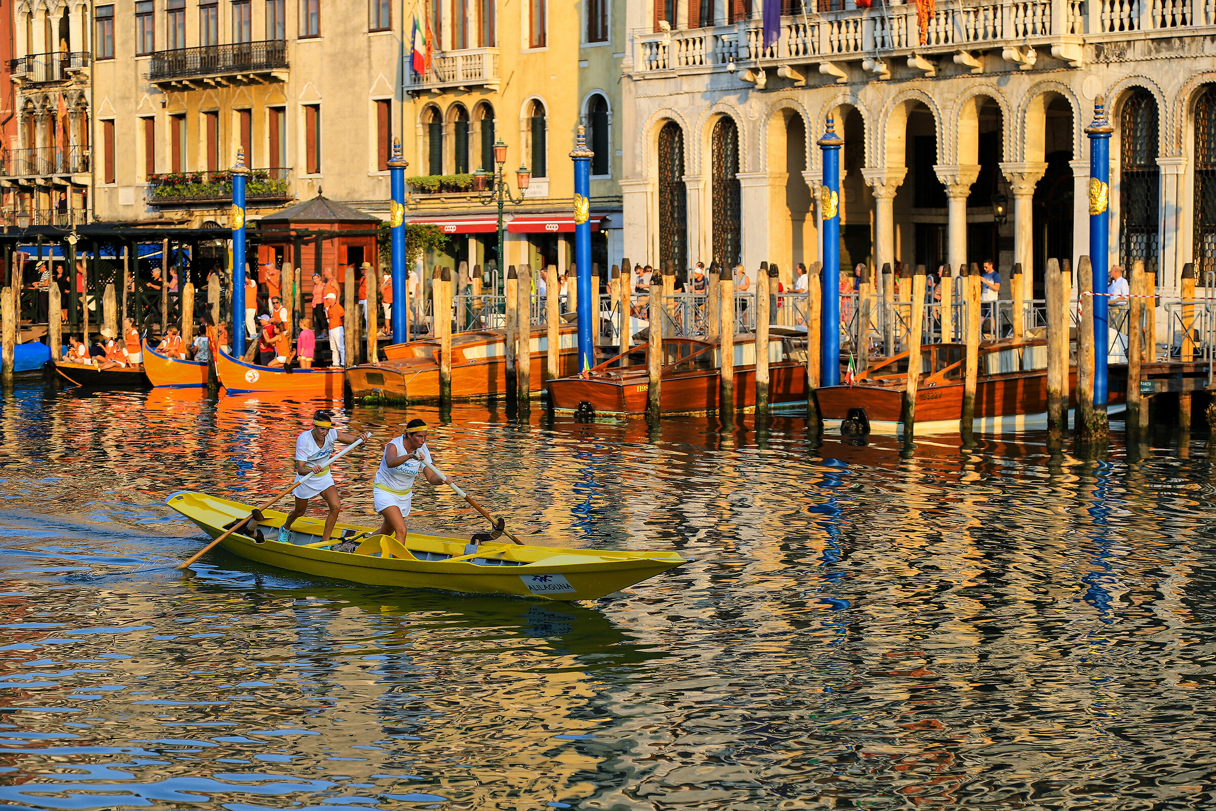 Venetian vogue in the colours