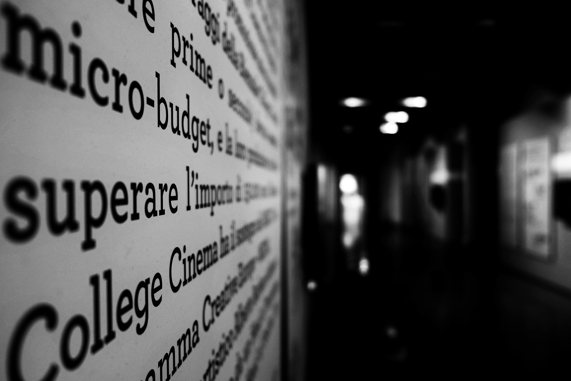 Dove portano le parole?