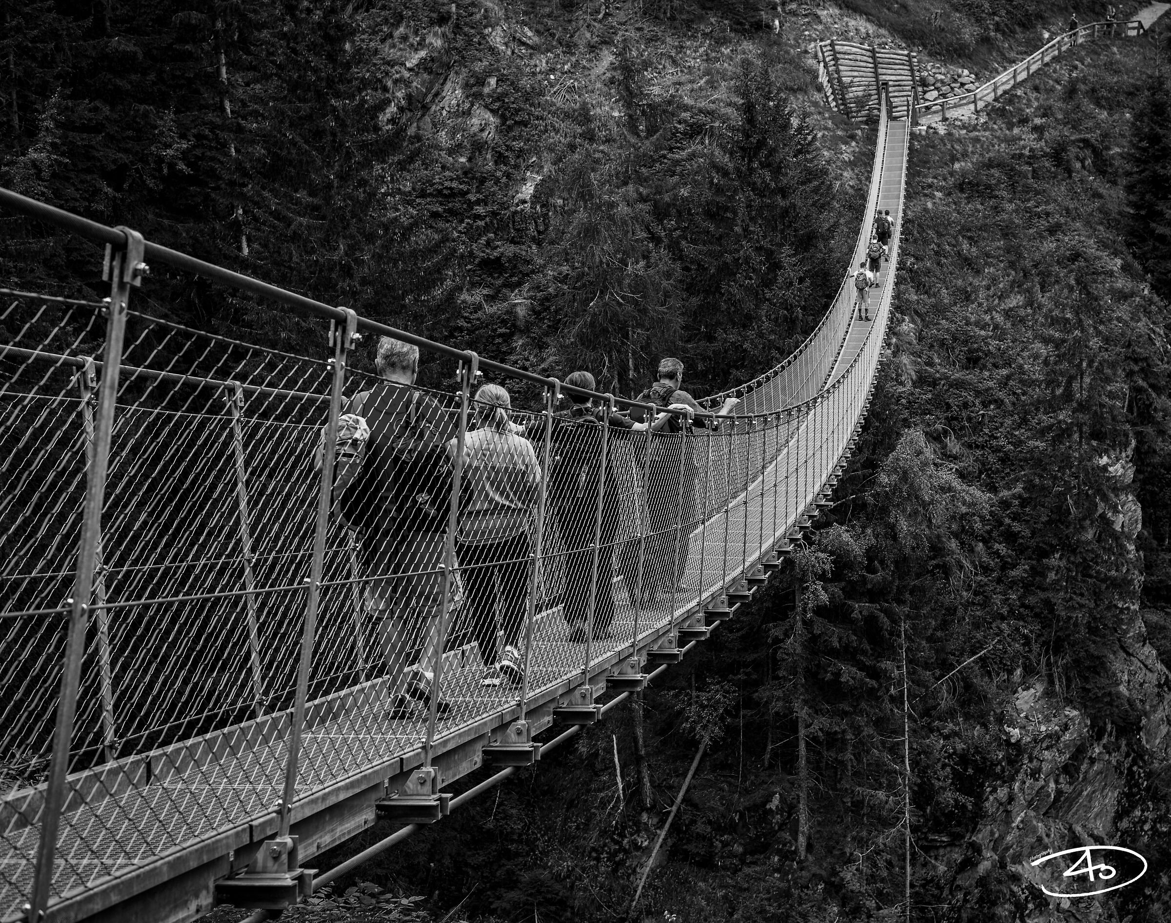 Tutti in fila mi raccomando!