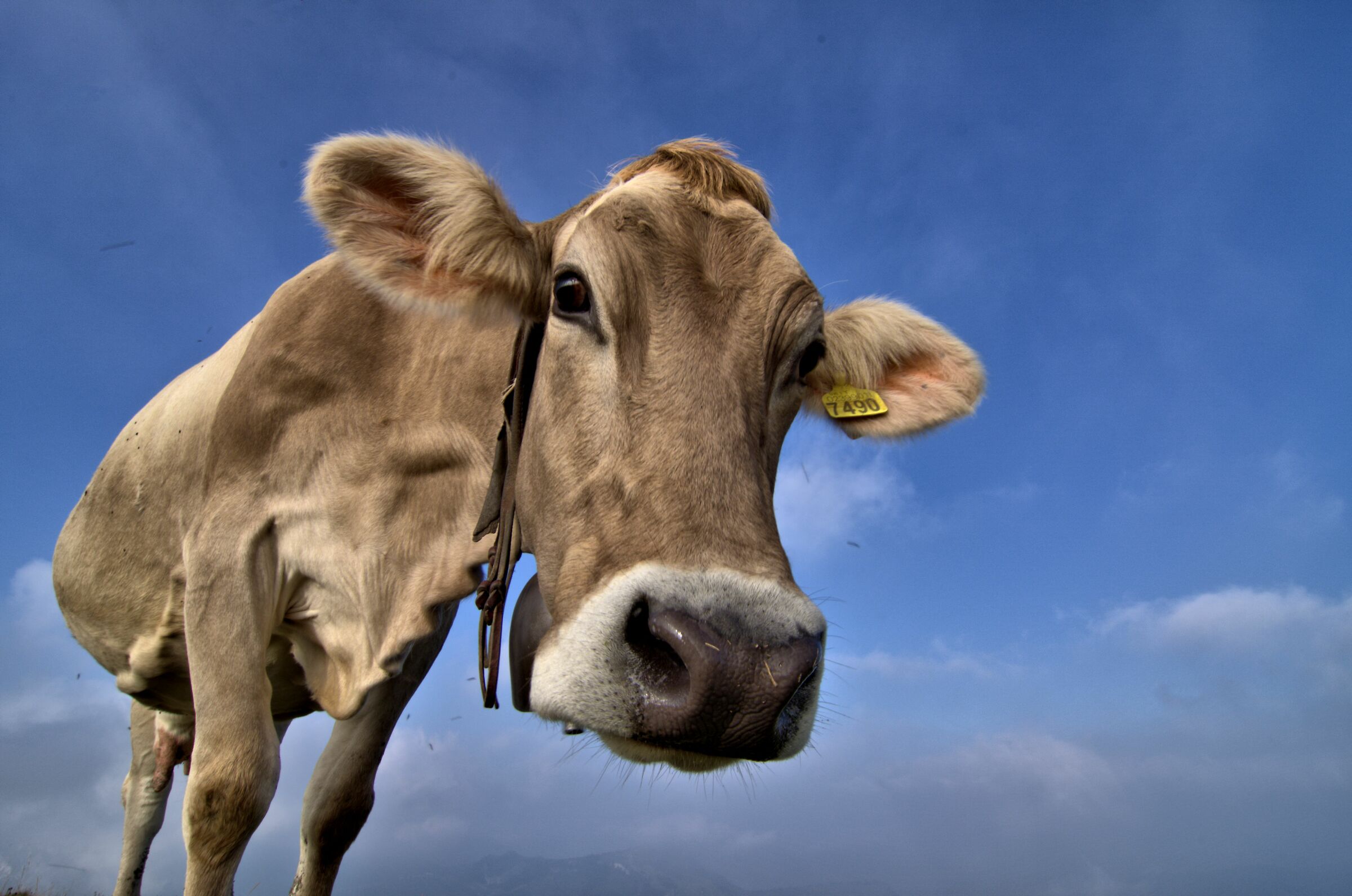 7490... piacere di conoscerti!