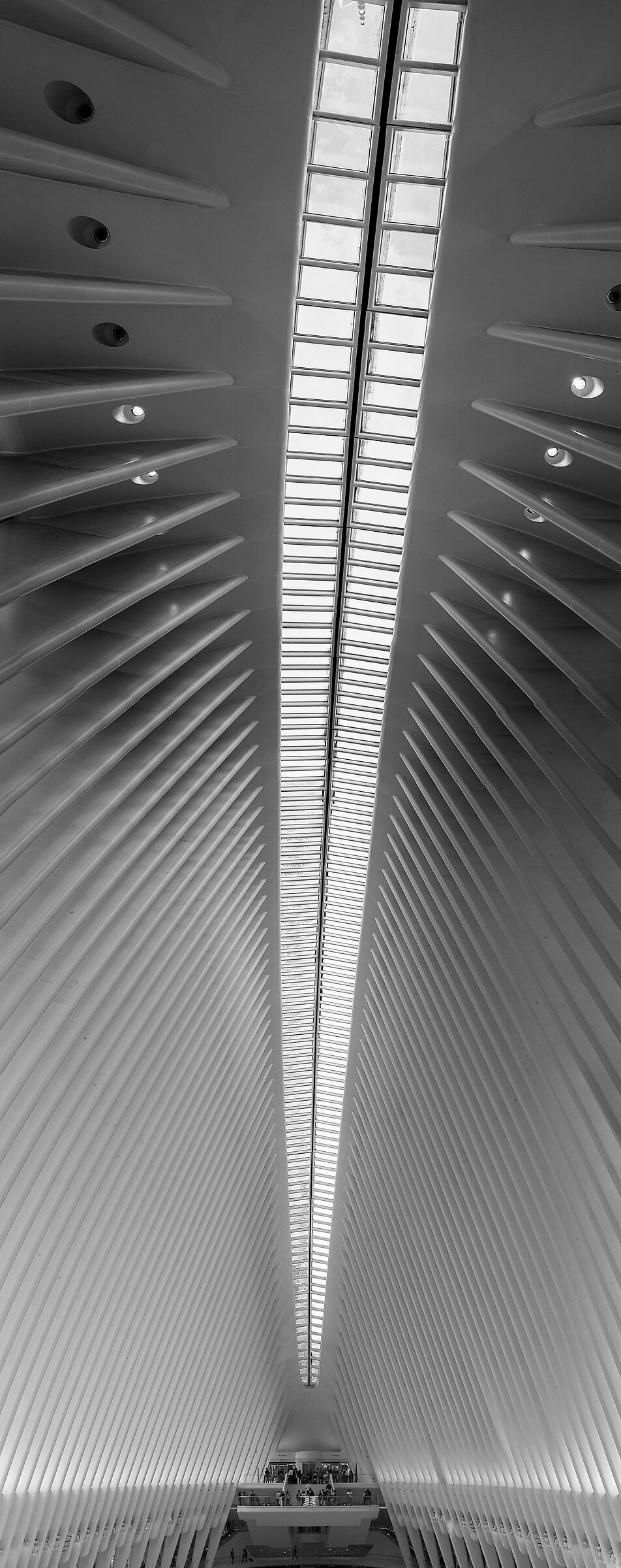 The Oculus