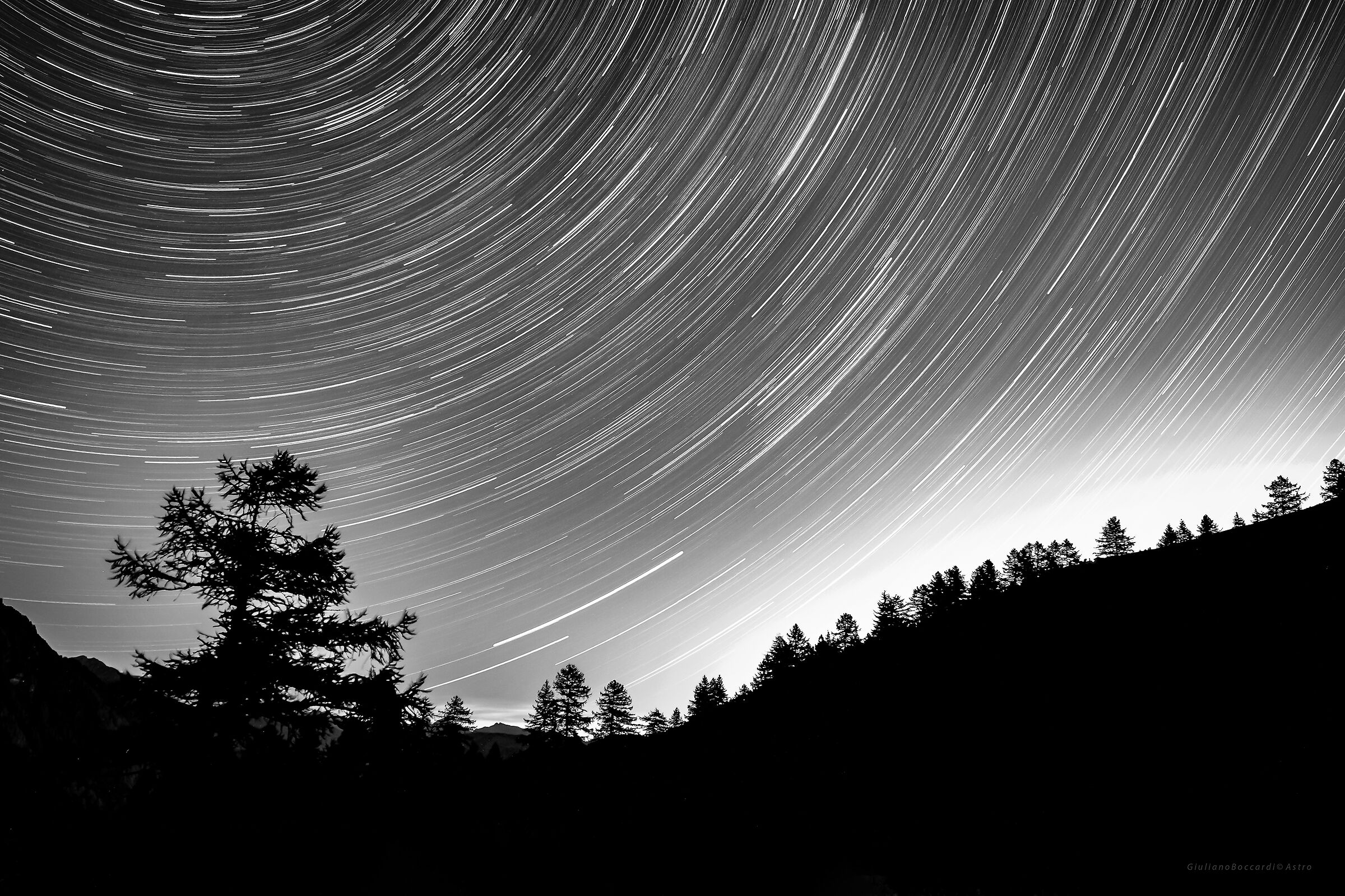 startrail in BW