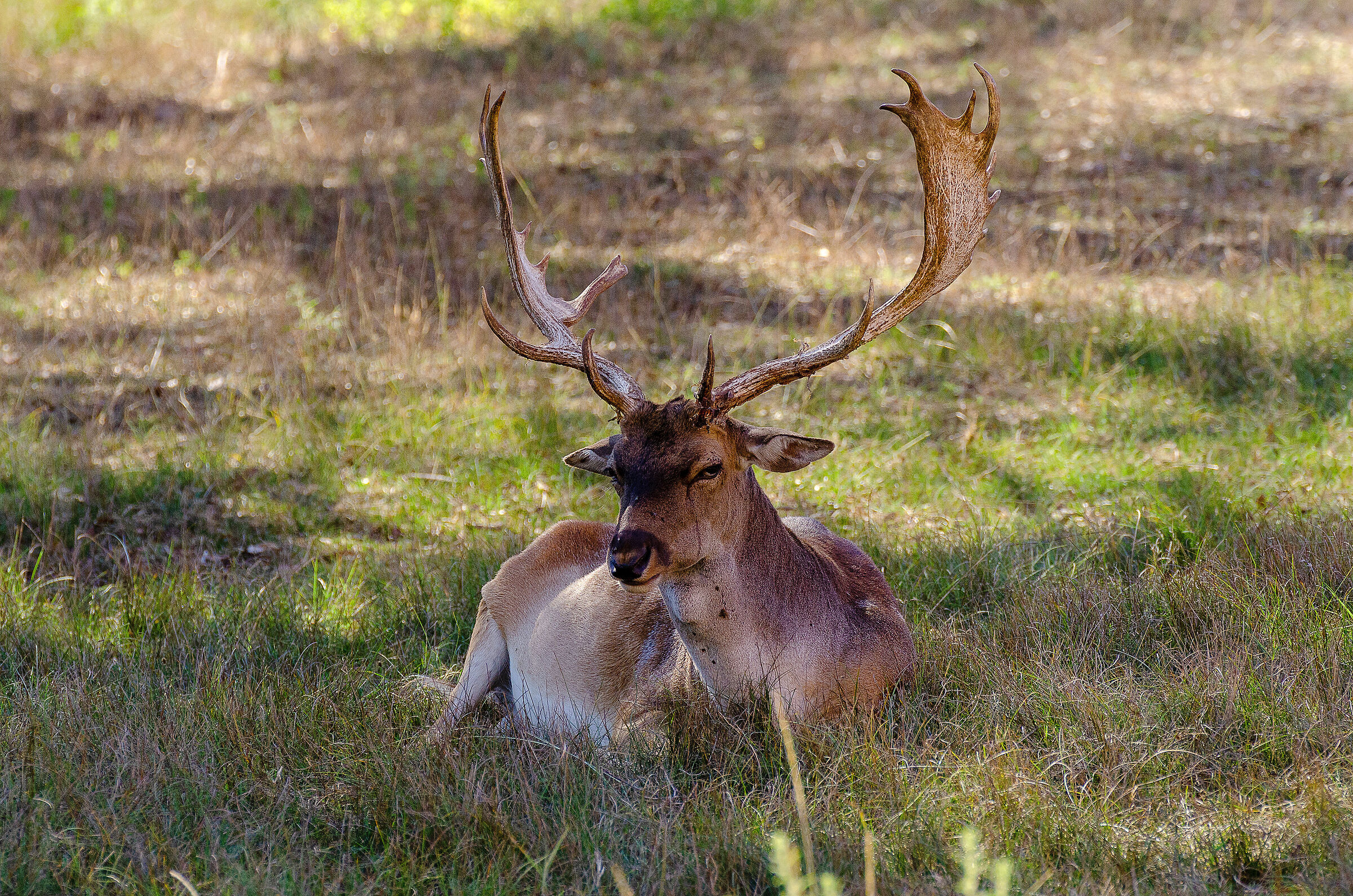 I don't like you very much....