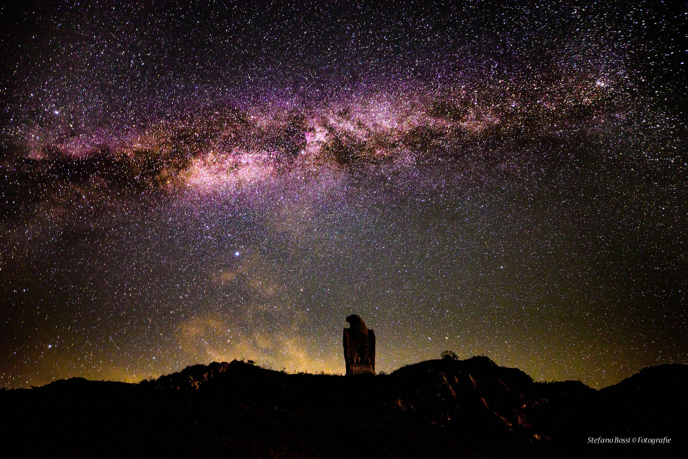 The Eagle Under the Stars