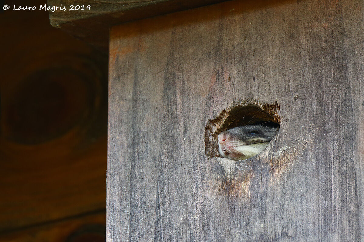 Facing the window my love