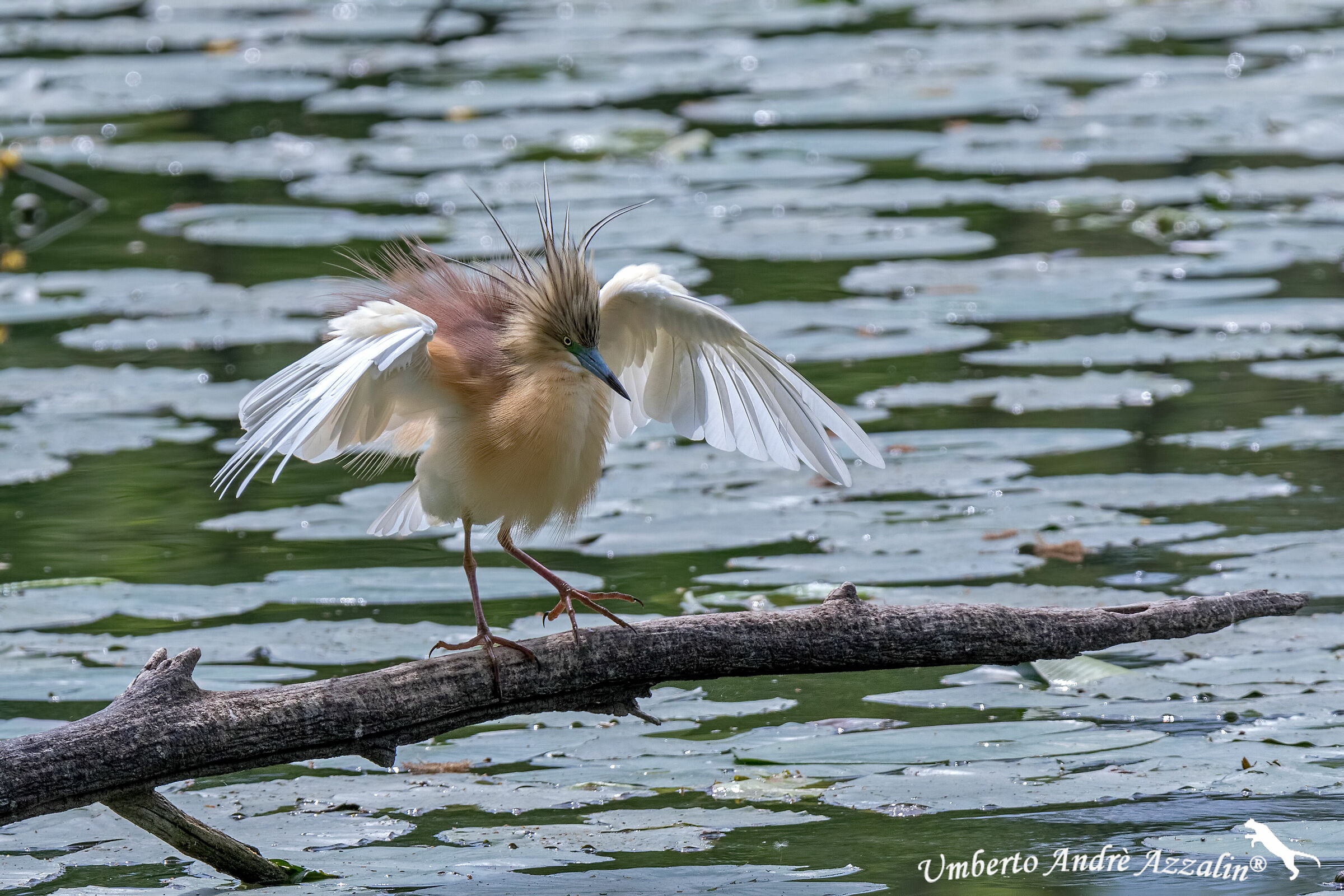 let's dry up after fishing