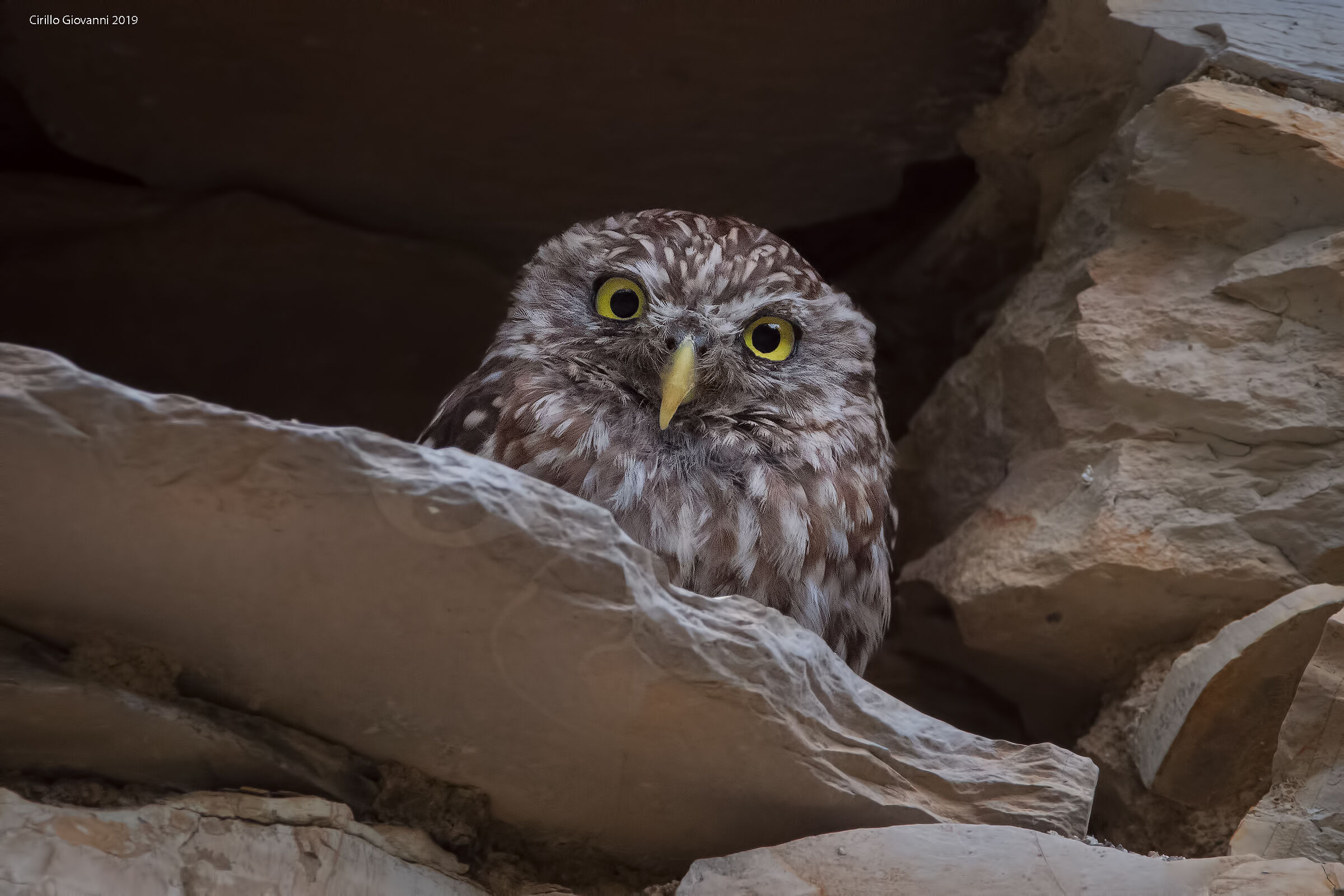 civetta . la mia prima volta