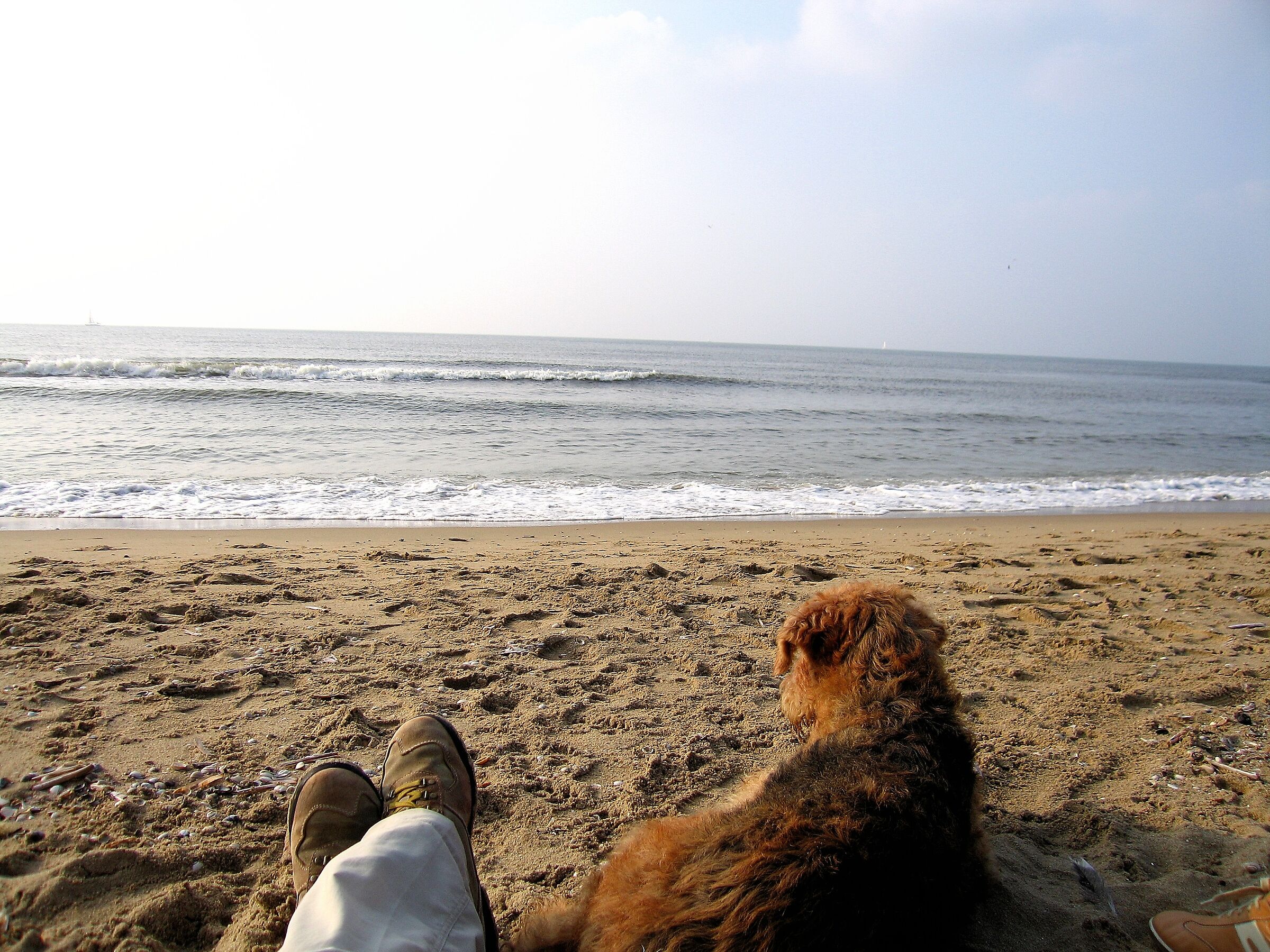 North Sea, in company