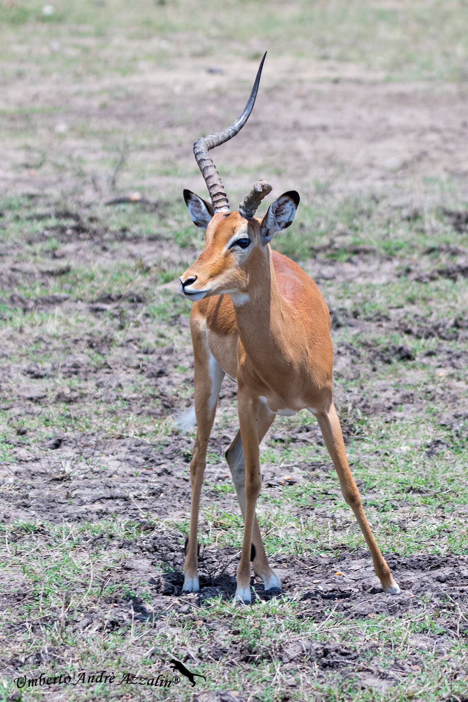 I feel like a unicorn