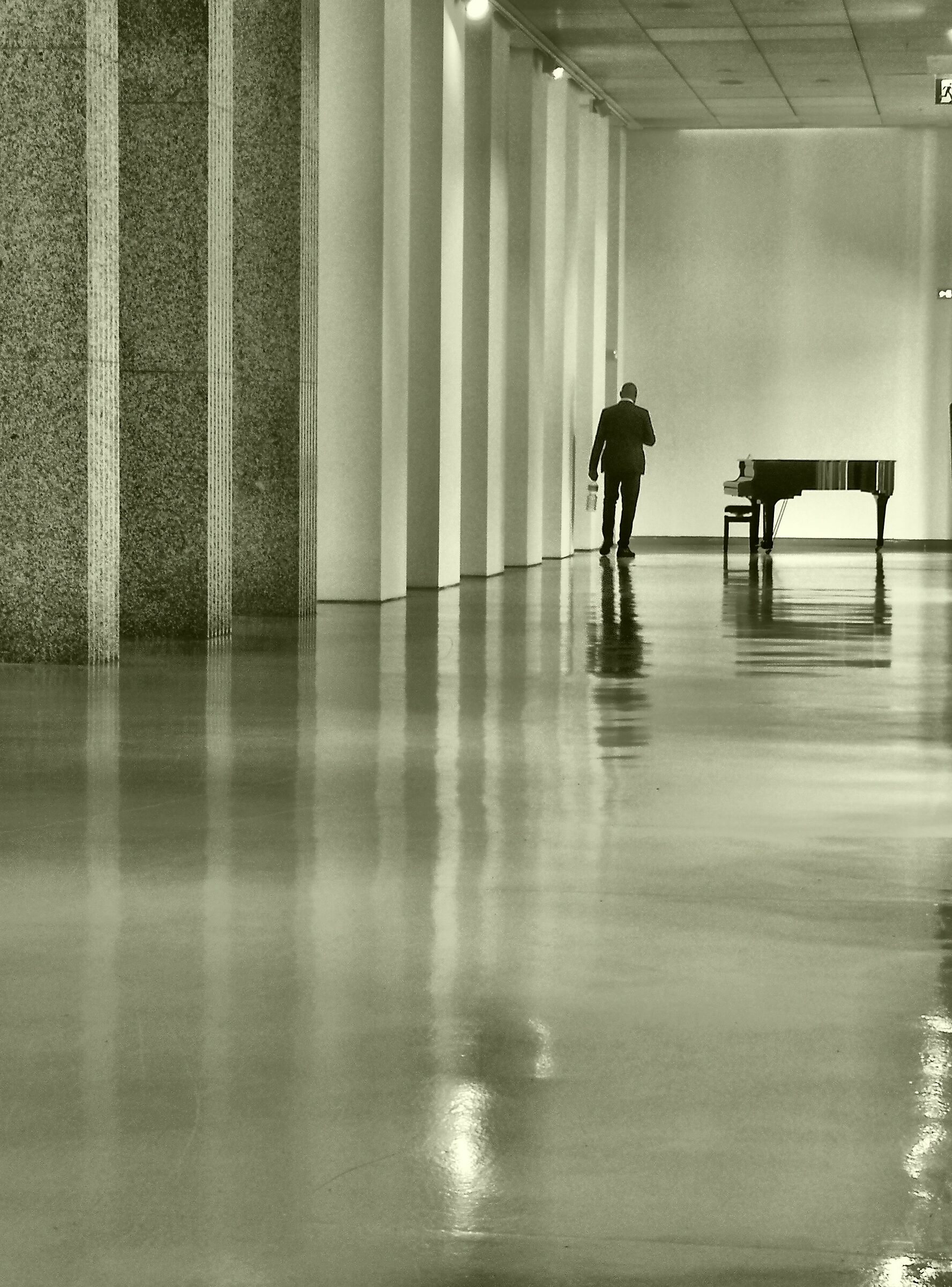 The Pianist - Toning