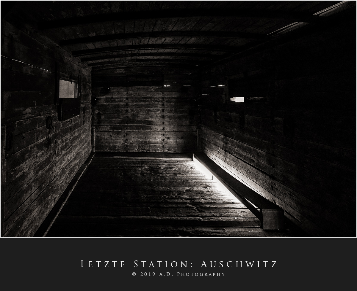 Letzte Station: Auschwitz