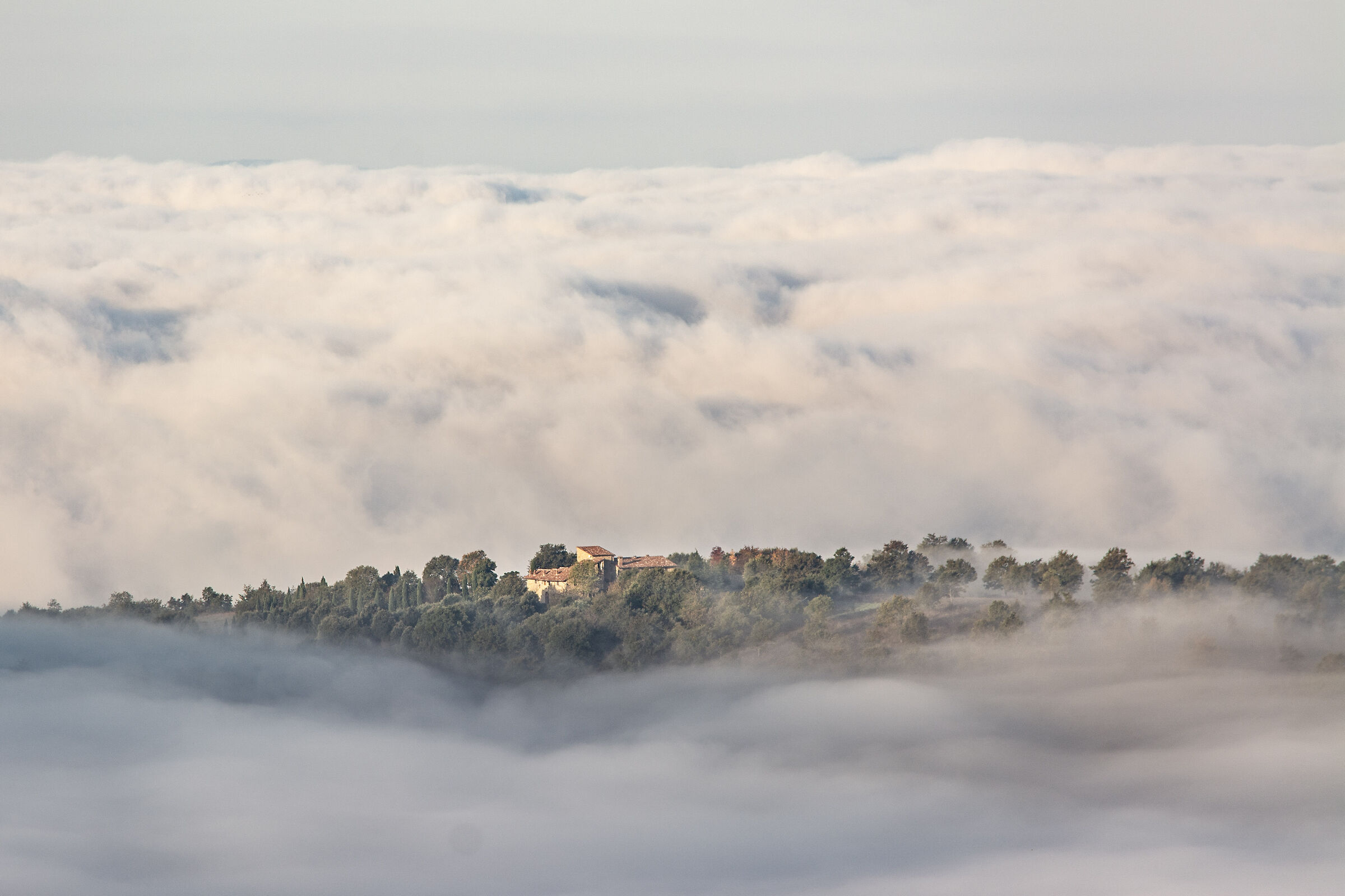The house in the cluod