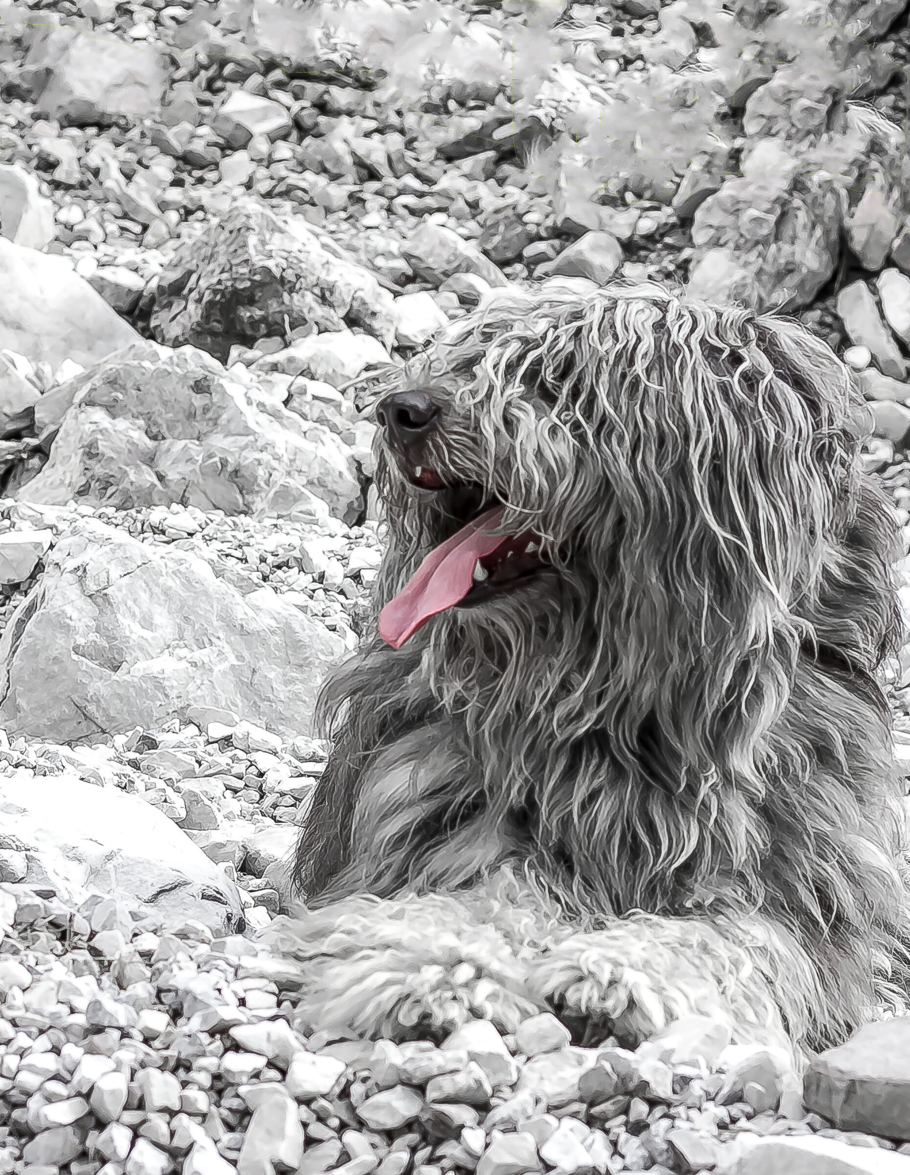 I'm handsome, I'm a model.