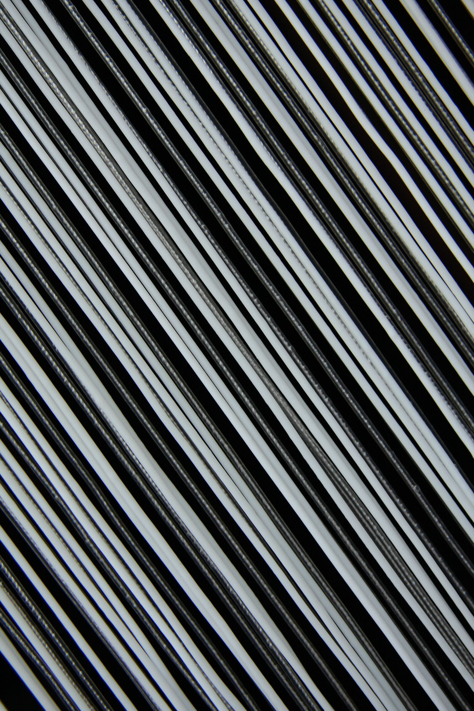 This tent plots something