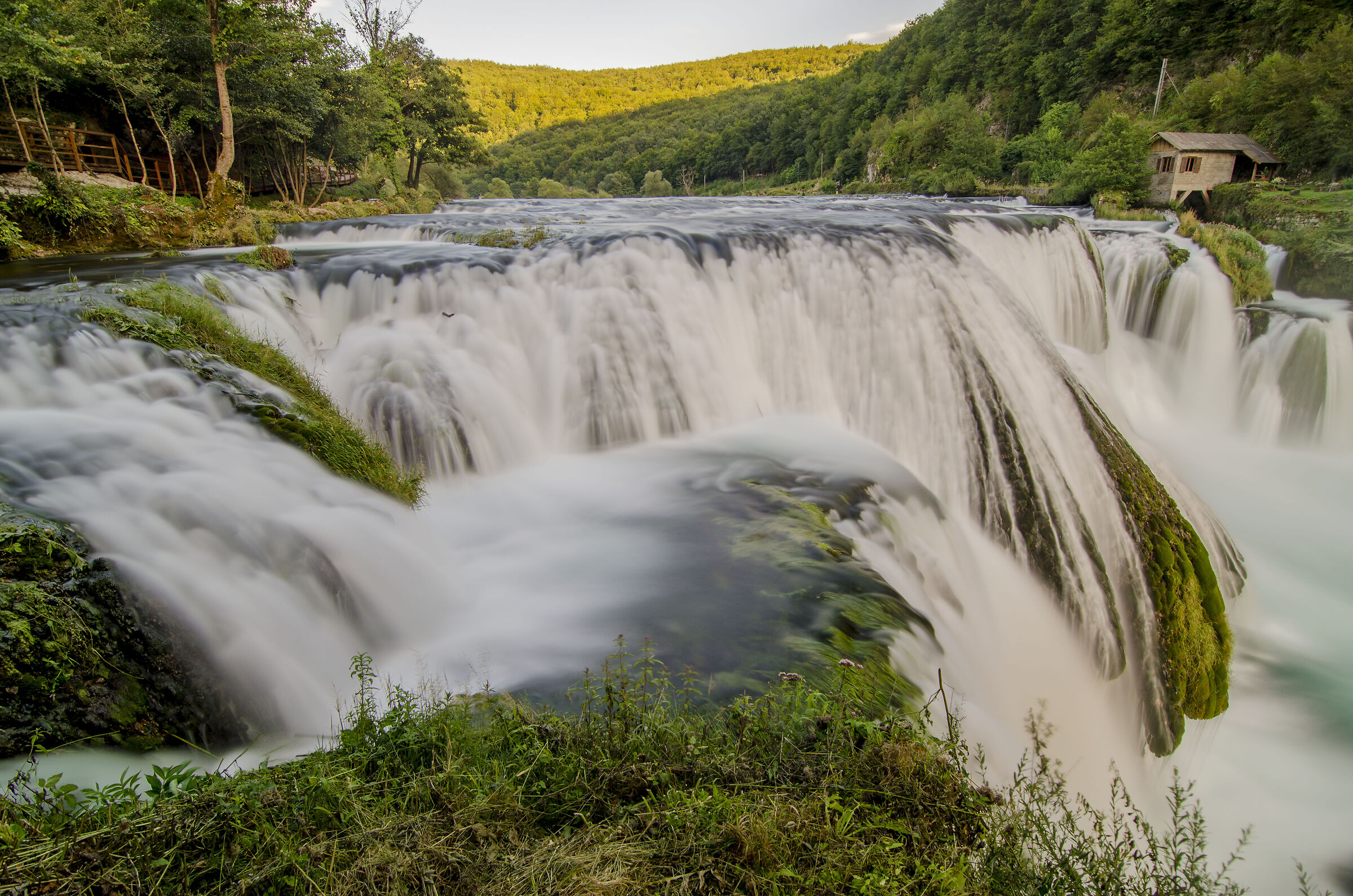 Trbacki Buk-Bosna