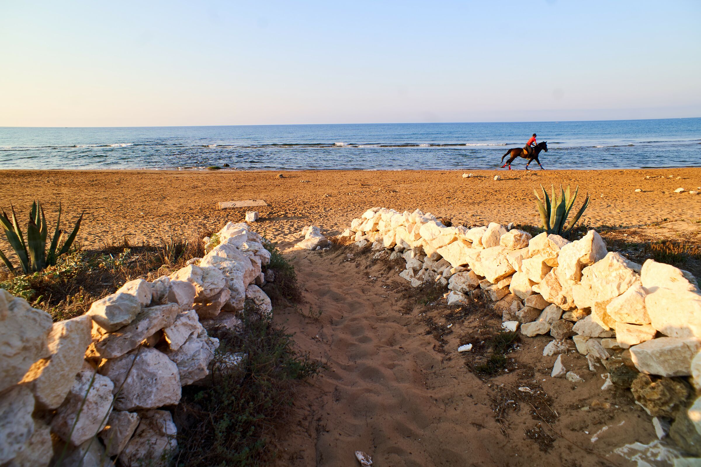 Spiaggia di tre Fontane-Oasi naturale di Pozzitello